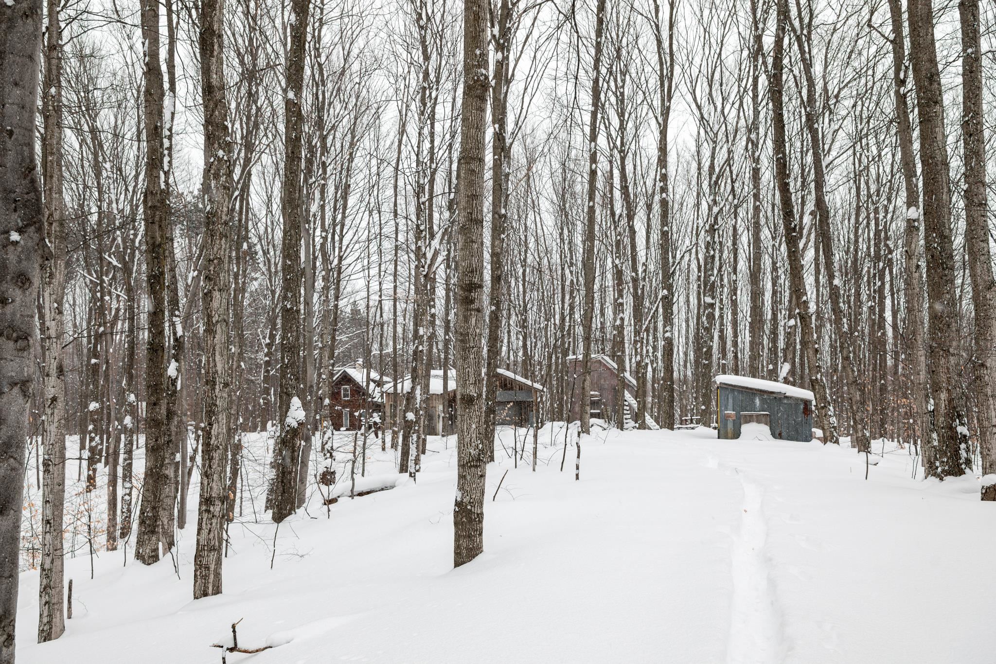  UNIT Lot: 2, Cedar, MI, 49621