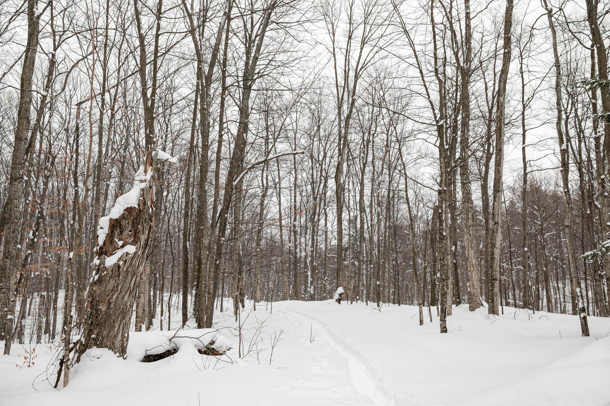  UNIT Lot: 2, Cedar, MI, 49621