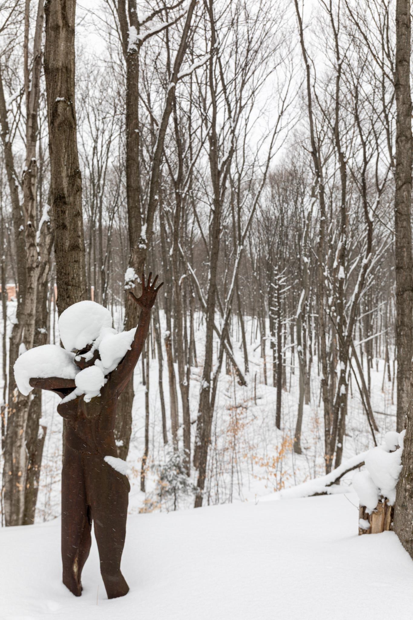  UNIT Lot: 2, Cedar, MI, 49621