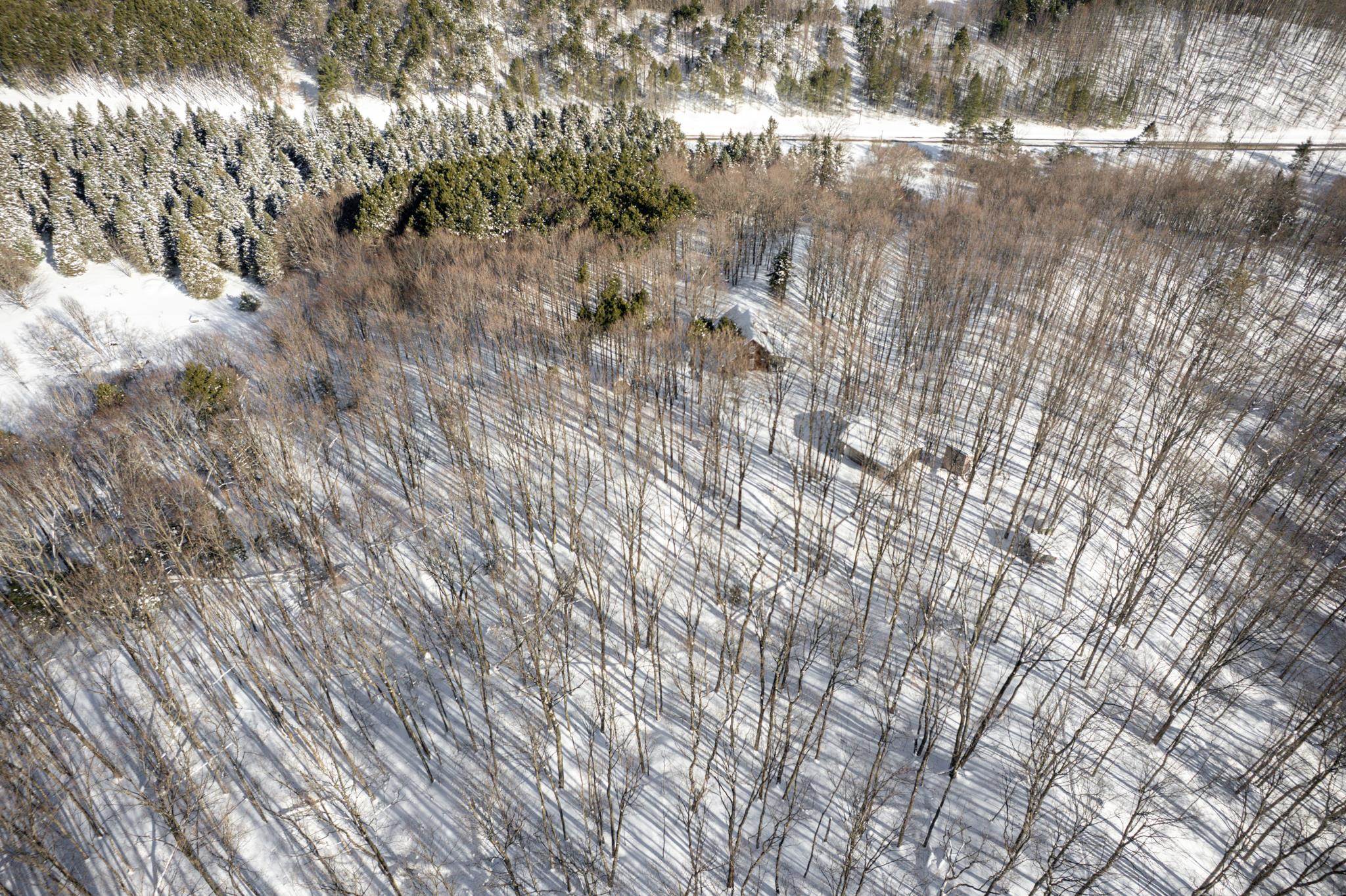  UNIT Lot: 2, Cedar, MI, 49621