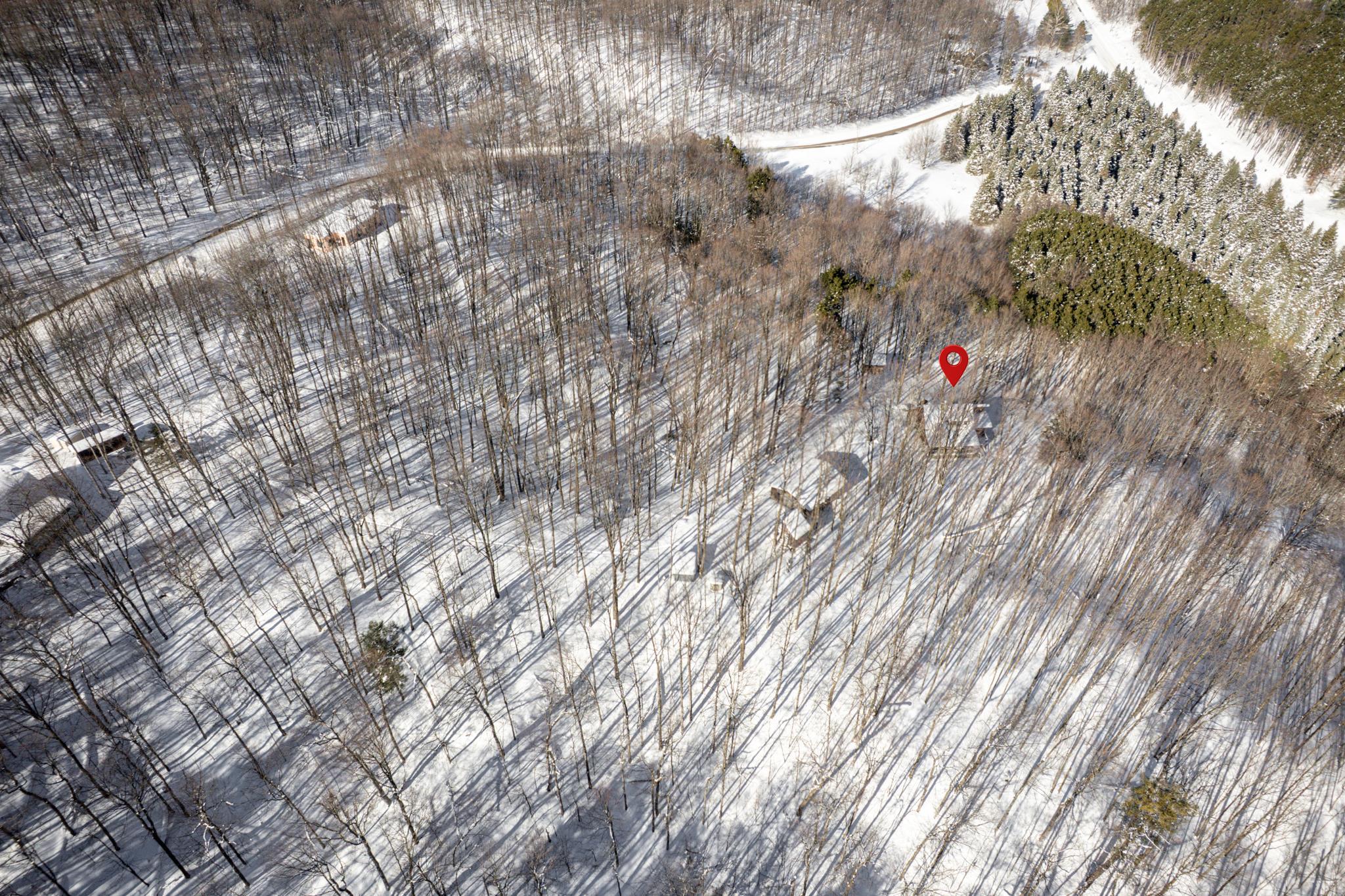  UNIT Lot: 2, Cedar, MI, 49621