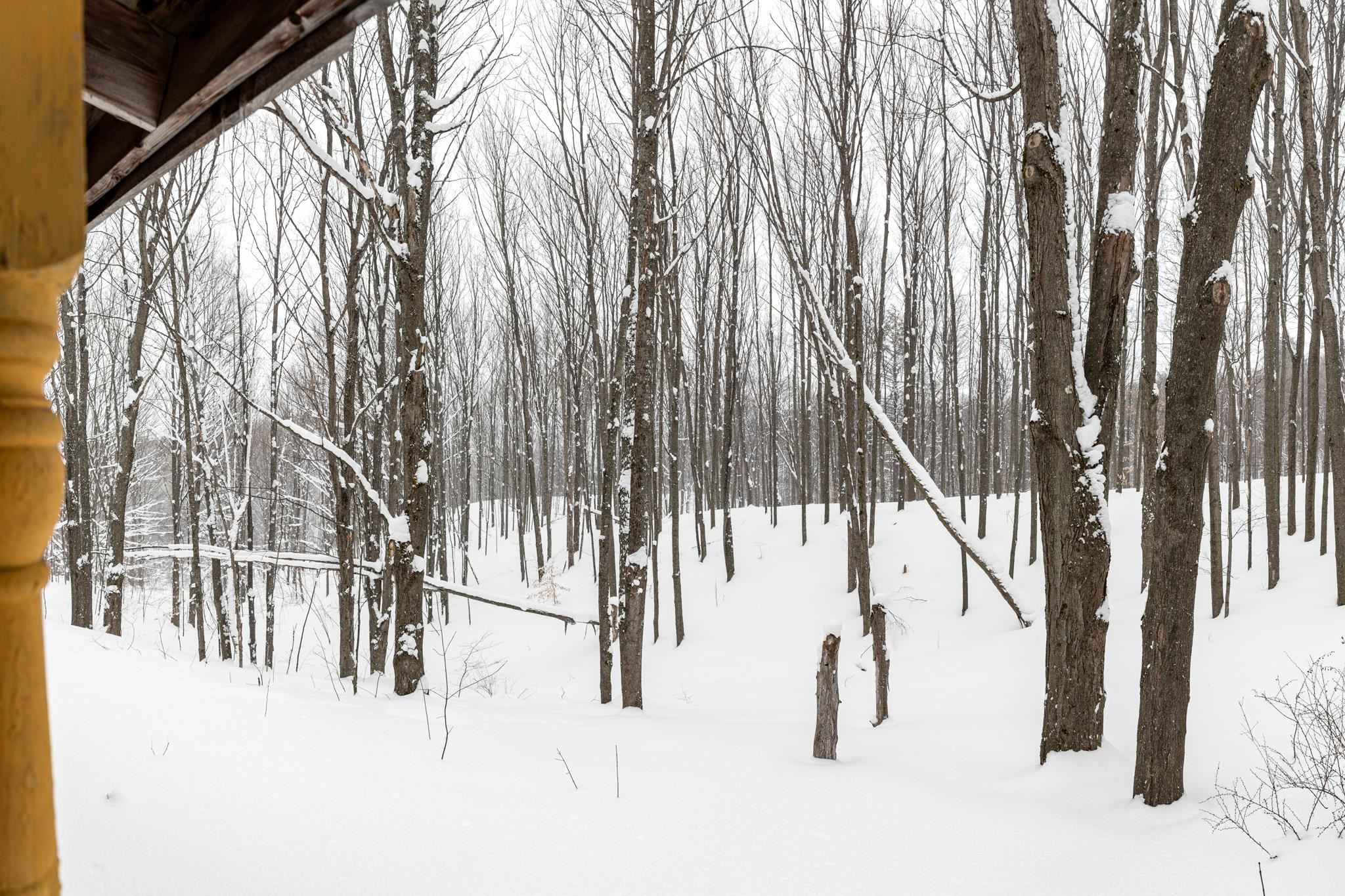  UNIT Lot: 2, Cedar, MI, 49621