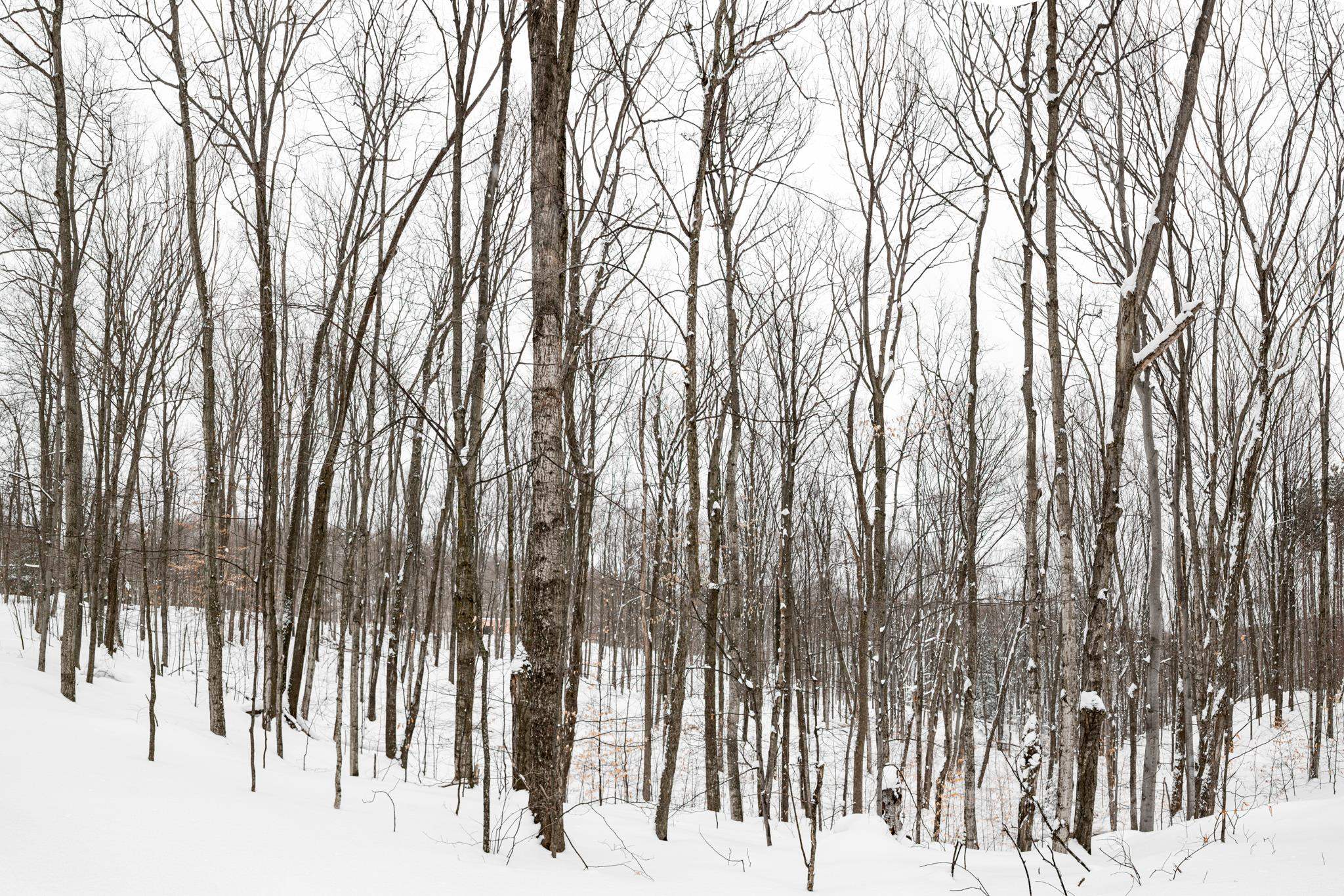  UNIT Lot: 2, Cedar, MI, 49621