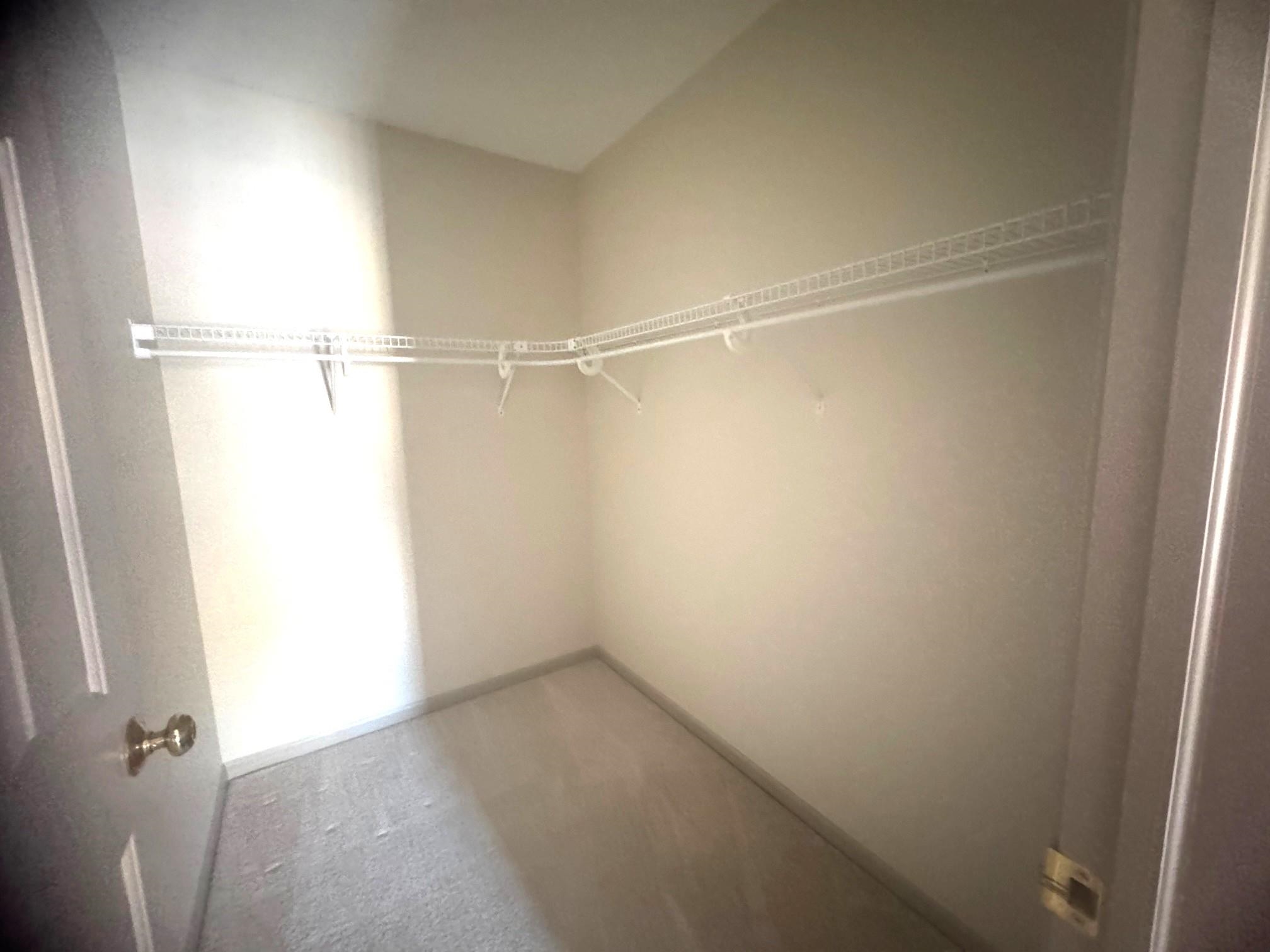 207 White Deer Trail photo 21