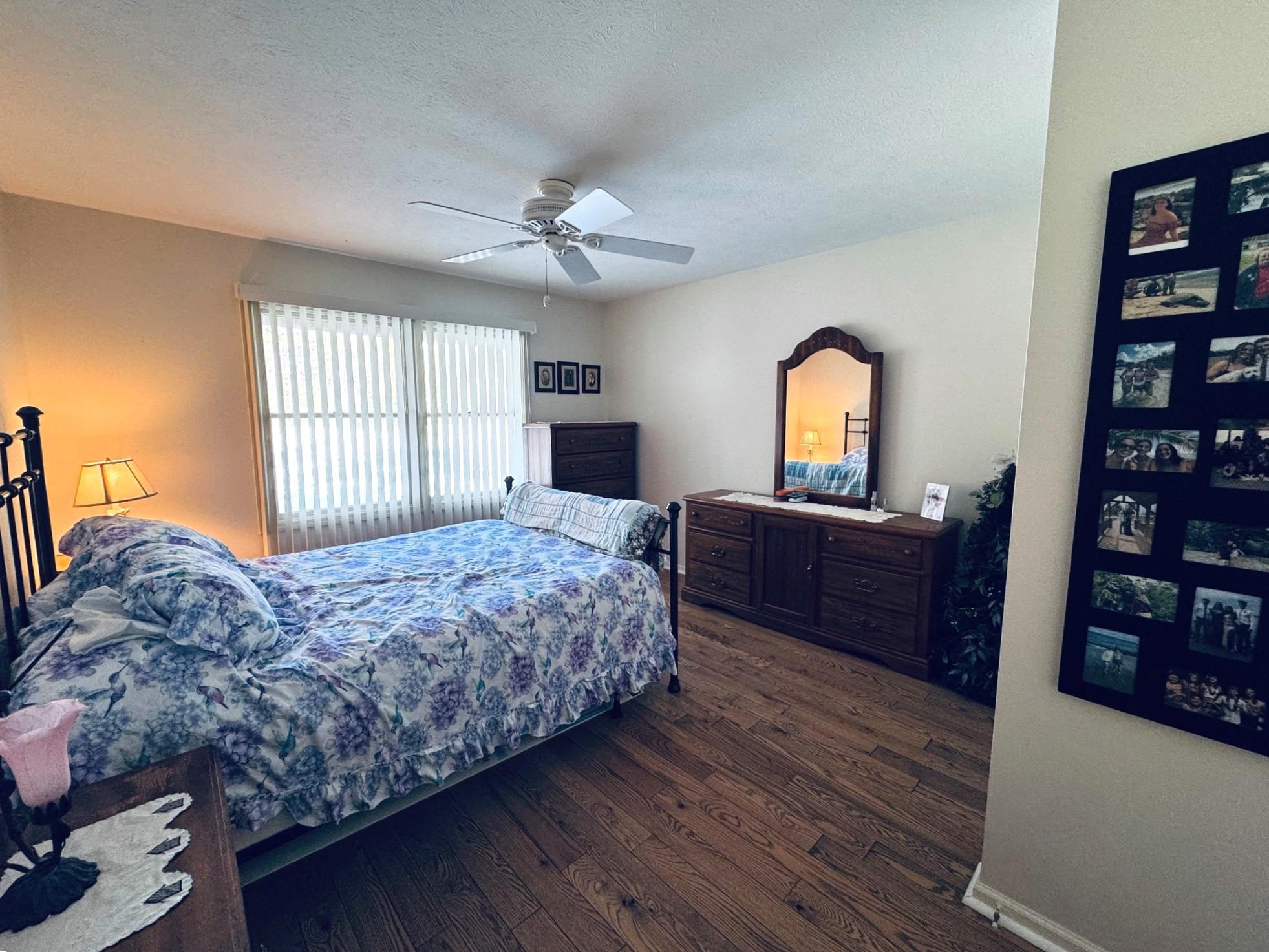 207 White Deer Trail photo 8