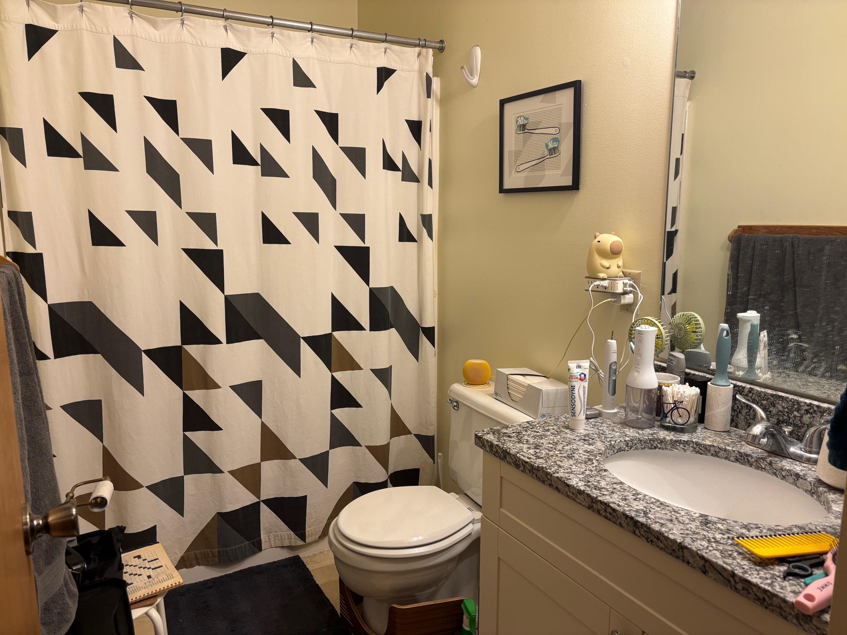 Mount Pleasant, MI, 48858