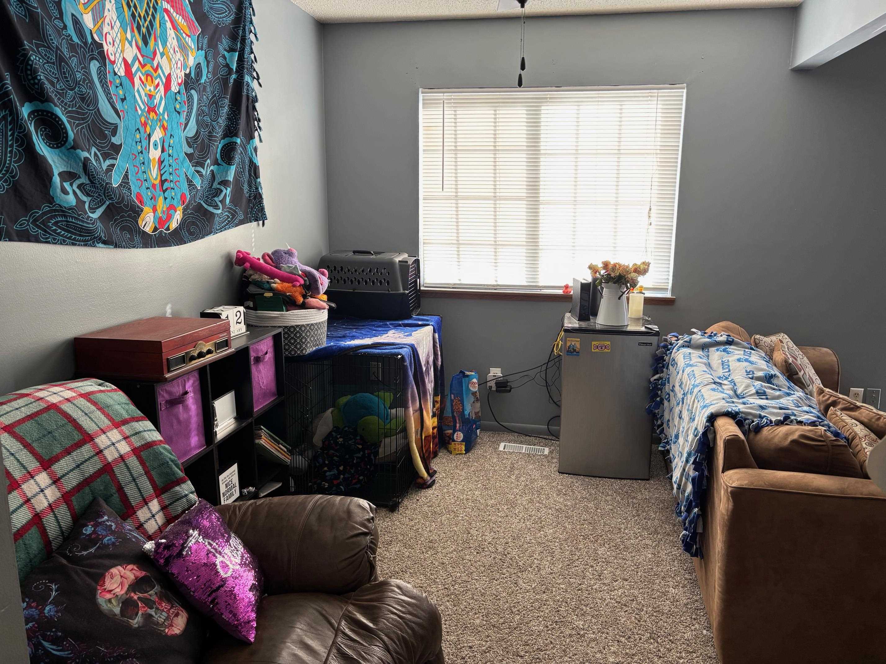 Mount Pleasant, MI, 48858