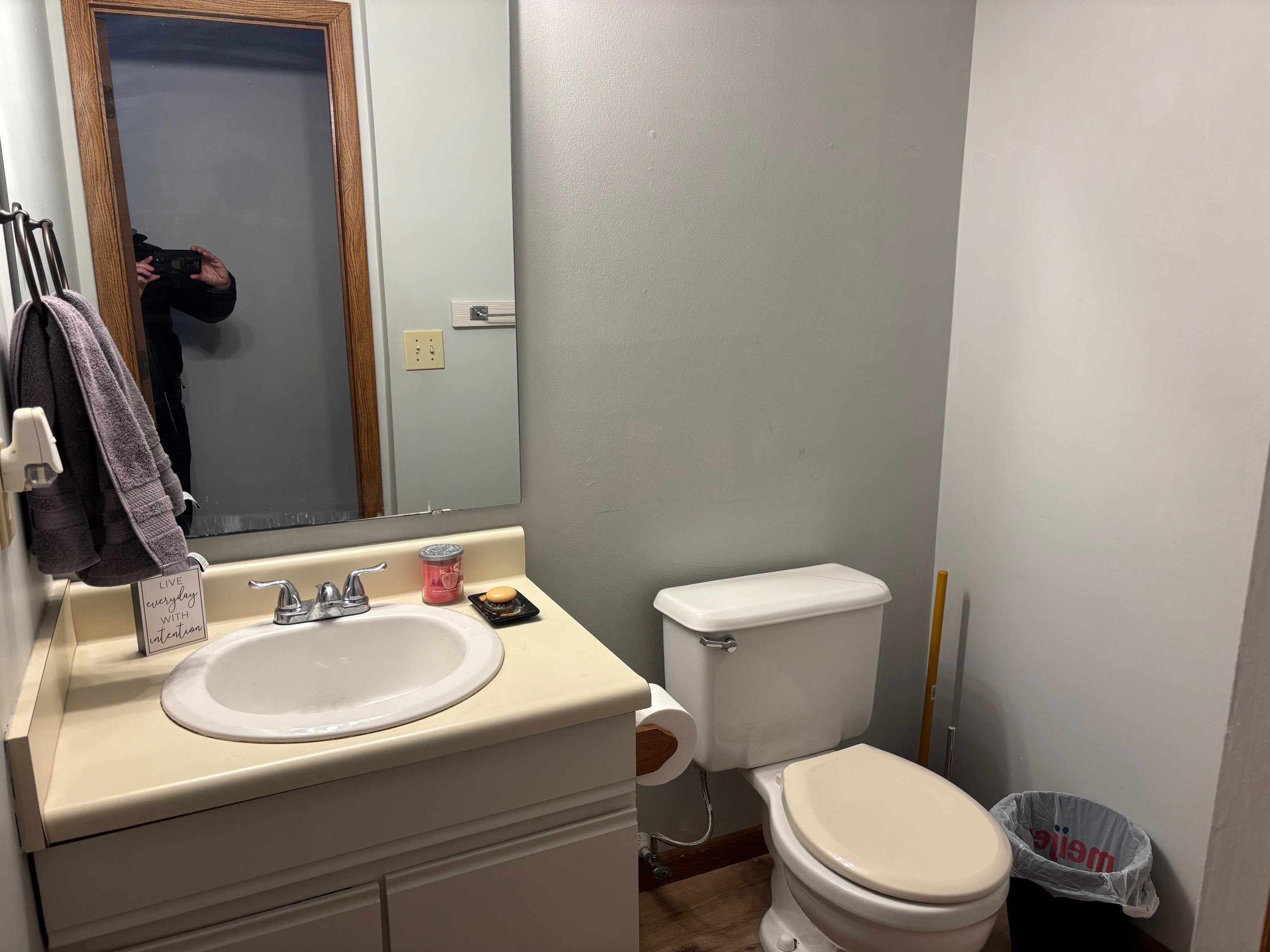 Mount Pleasant, MI, 48858