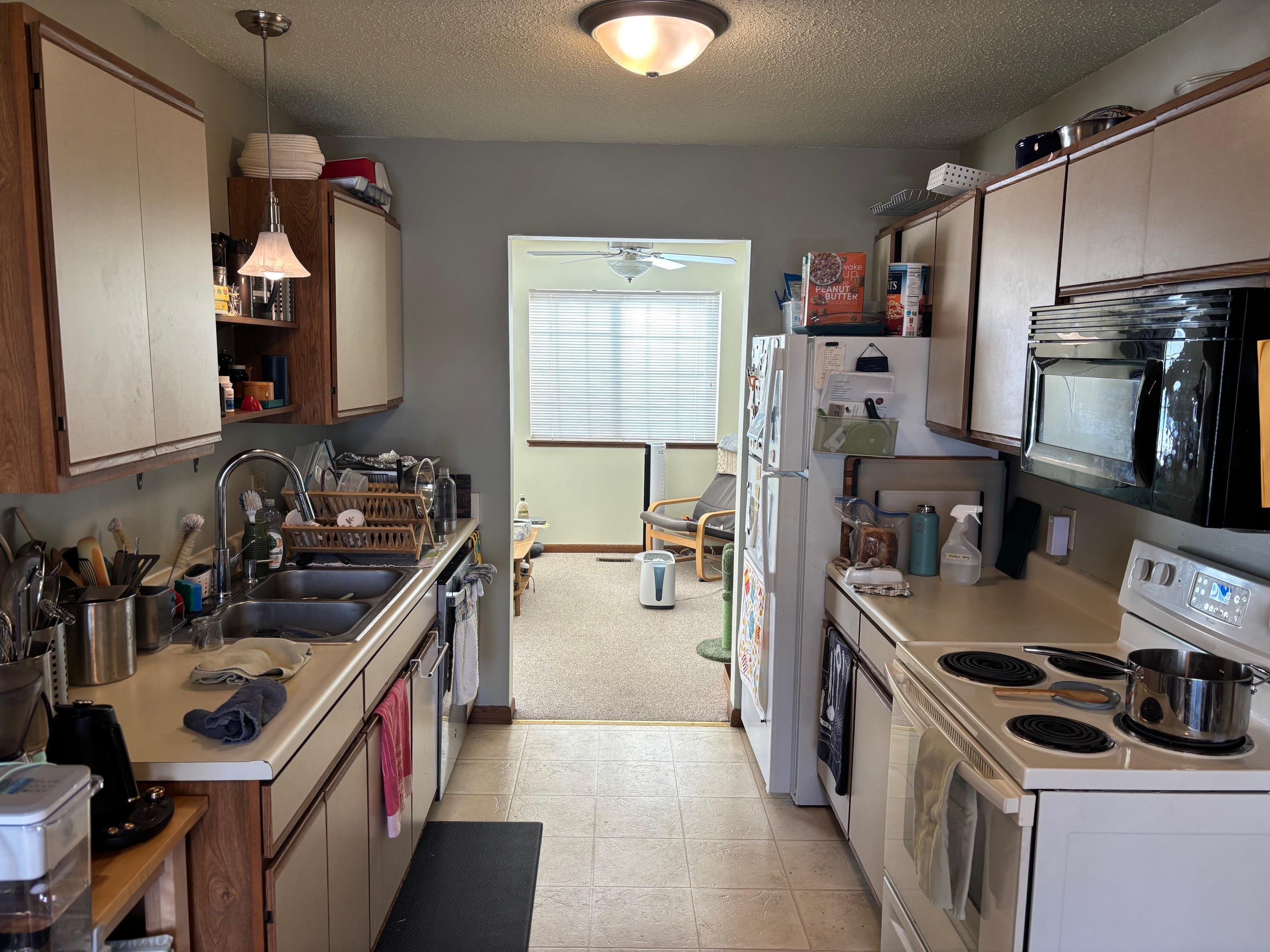 Mount Pleasant, MI, 48858