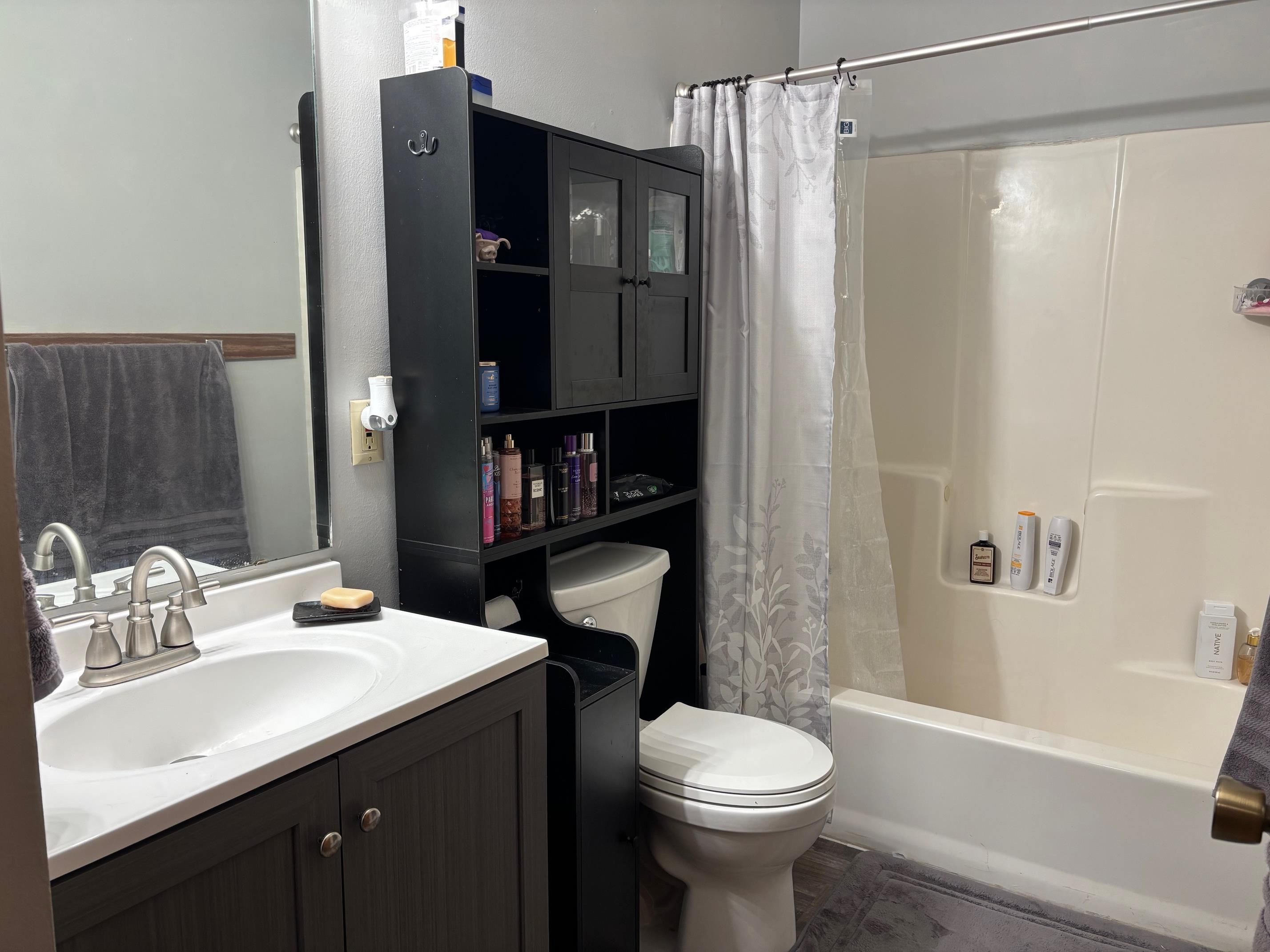 Mount Pleasant, MI, 48858