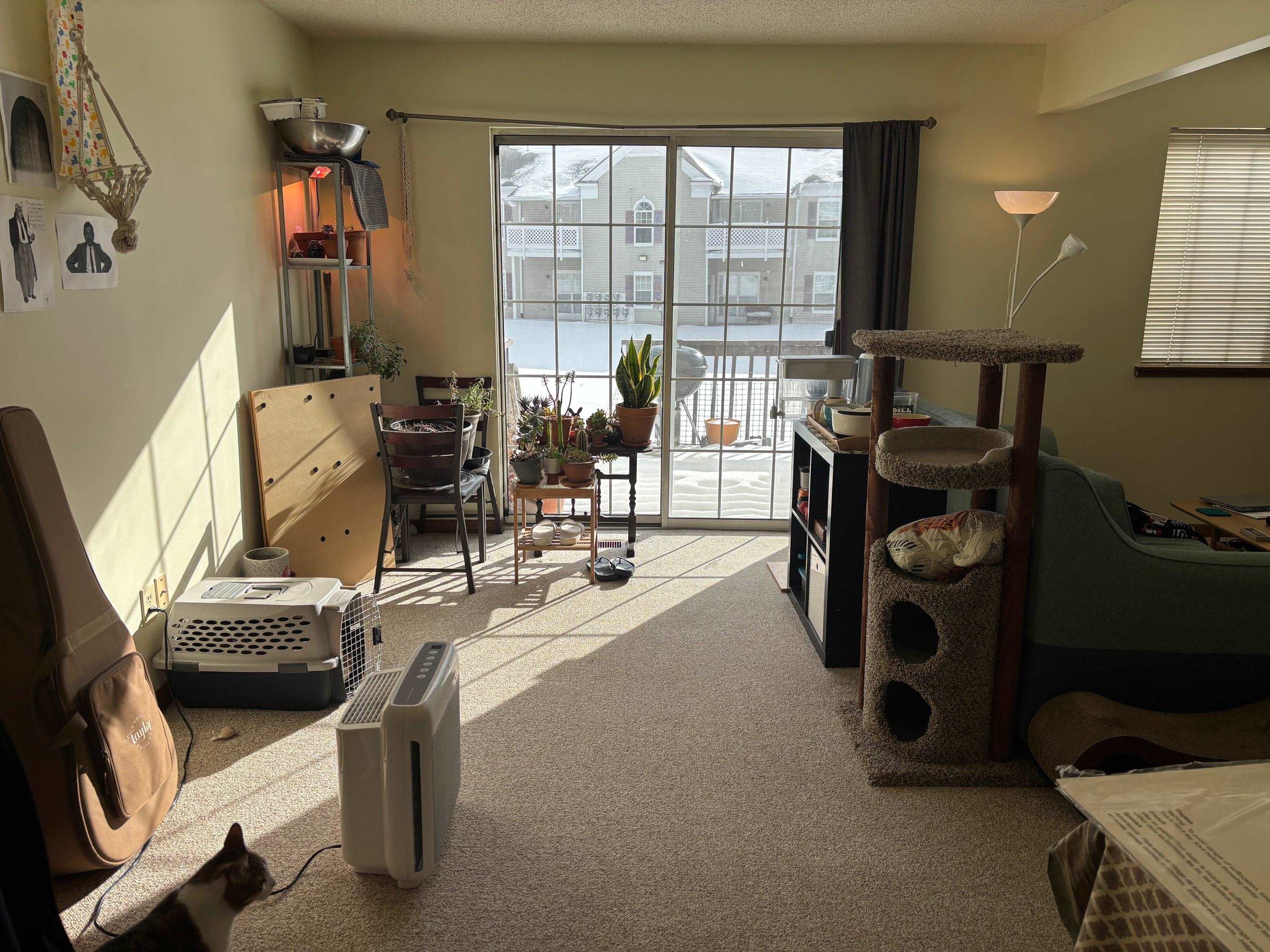 Mount Pleasant, MI, 48858