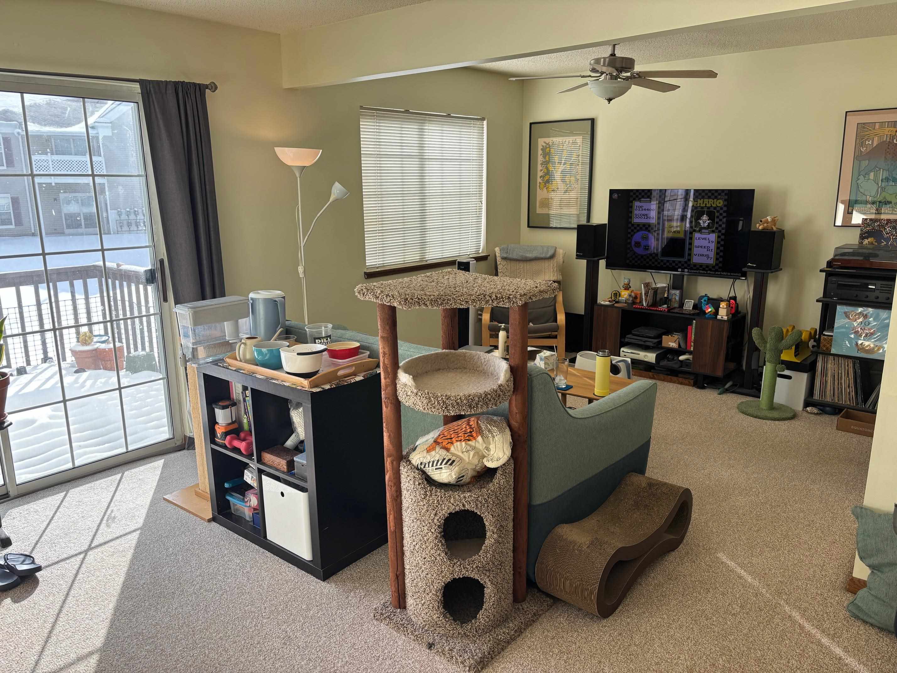 Mount Pleasant, MI, 48858