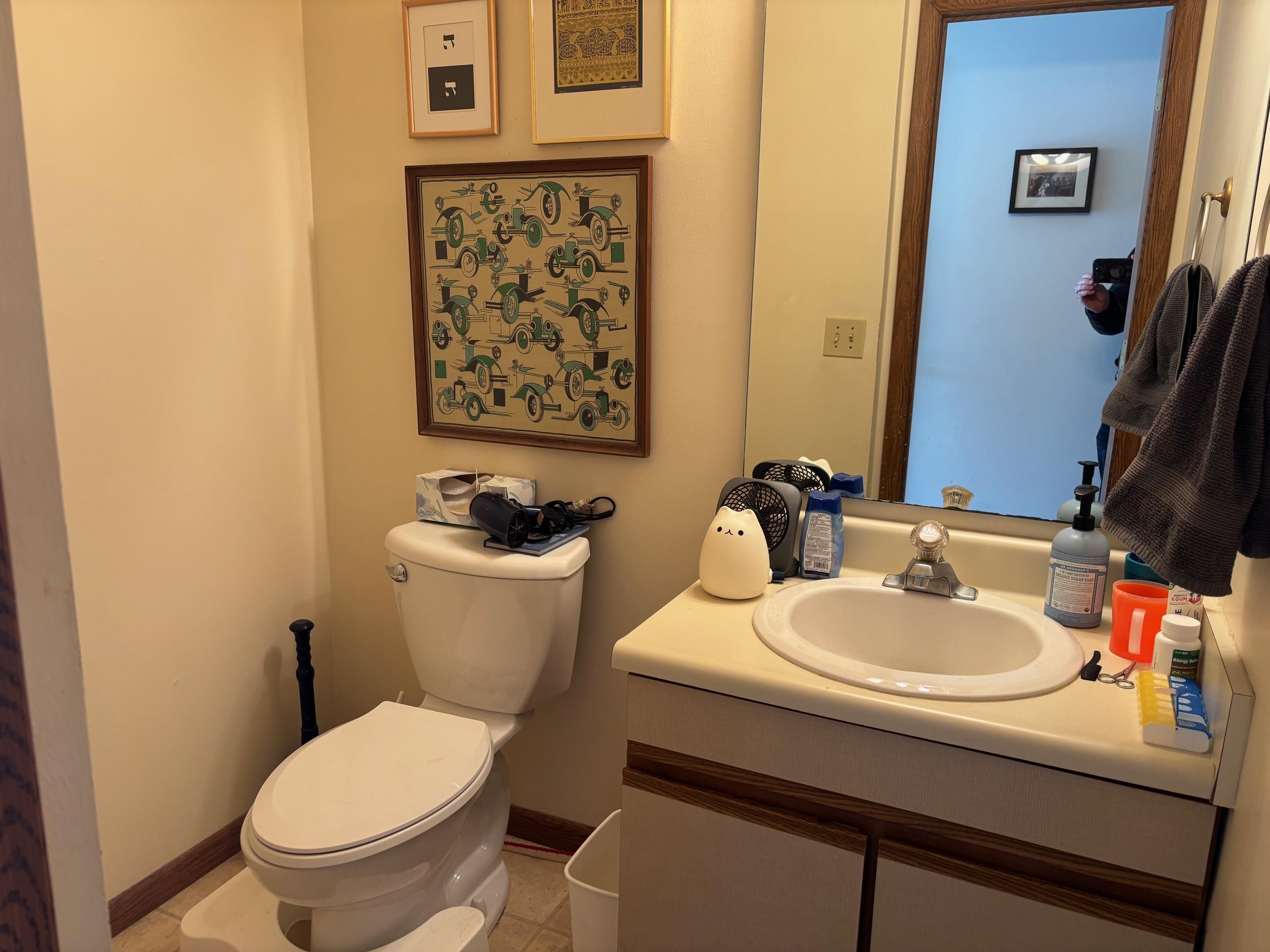 Mount Pleasant, MI, 48858