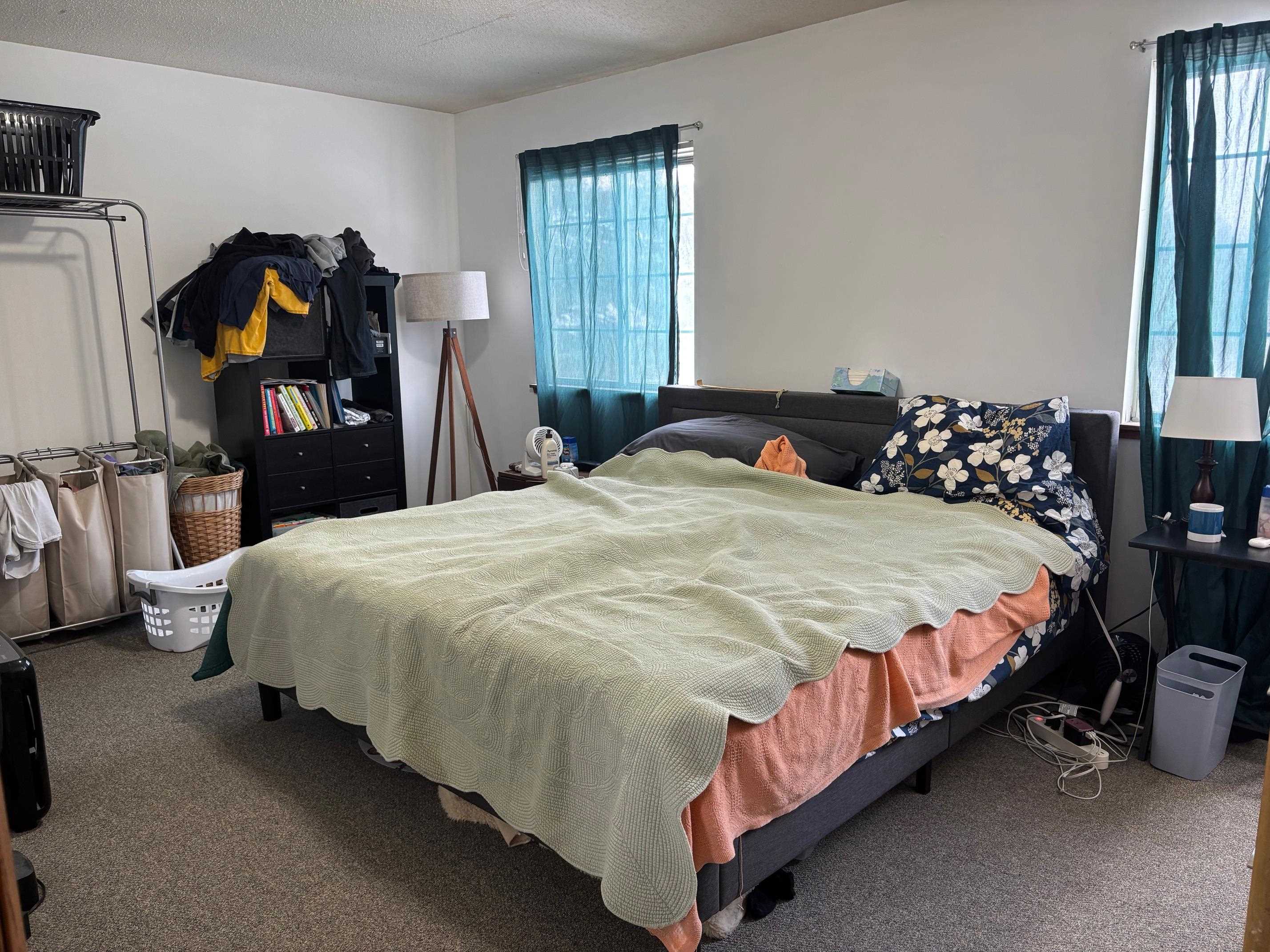 Mount Pleasant, MI, 48858