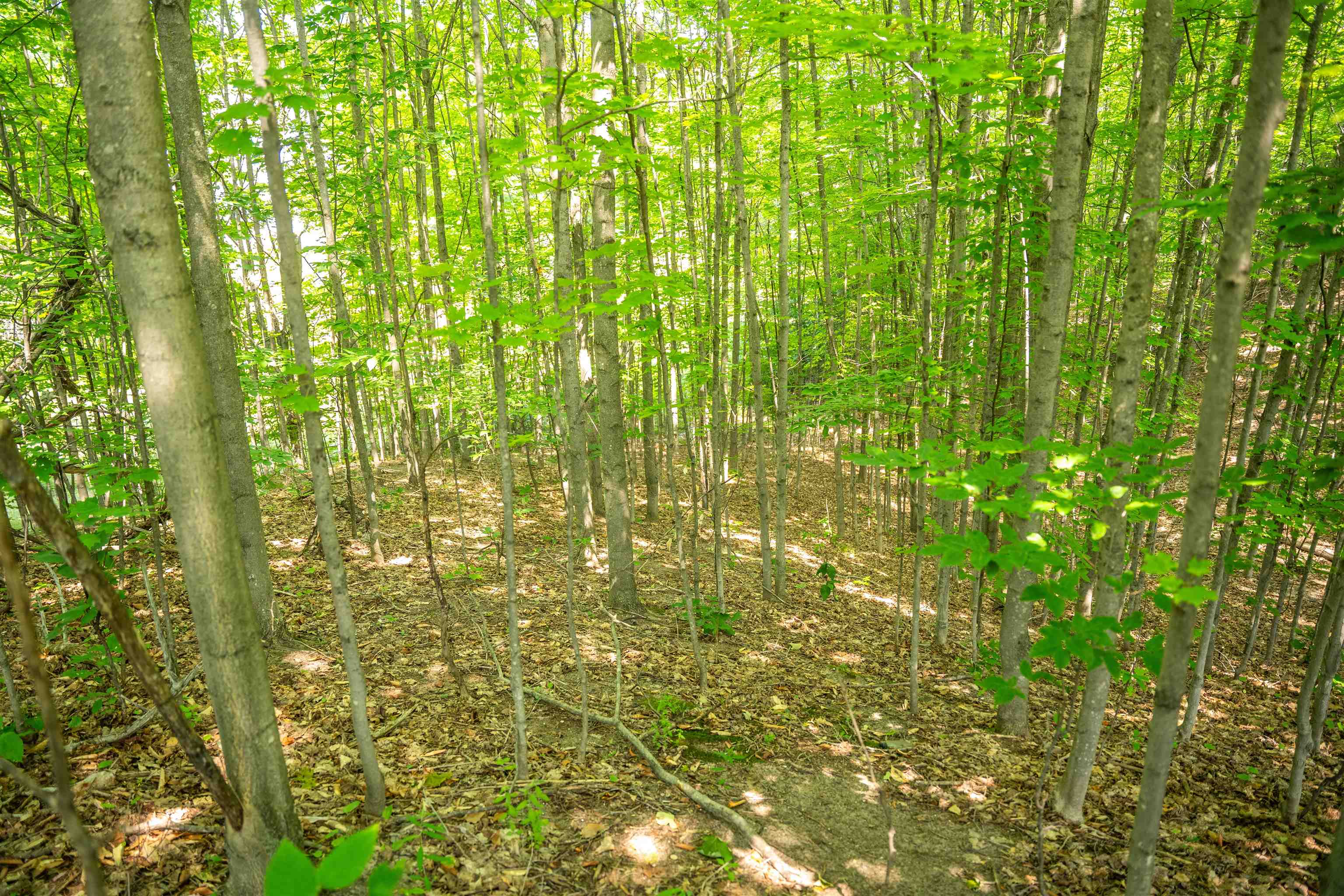 4885 Grayhawk Boulevard, Traverse City, MI, 49684