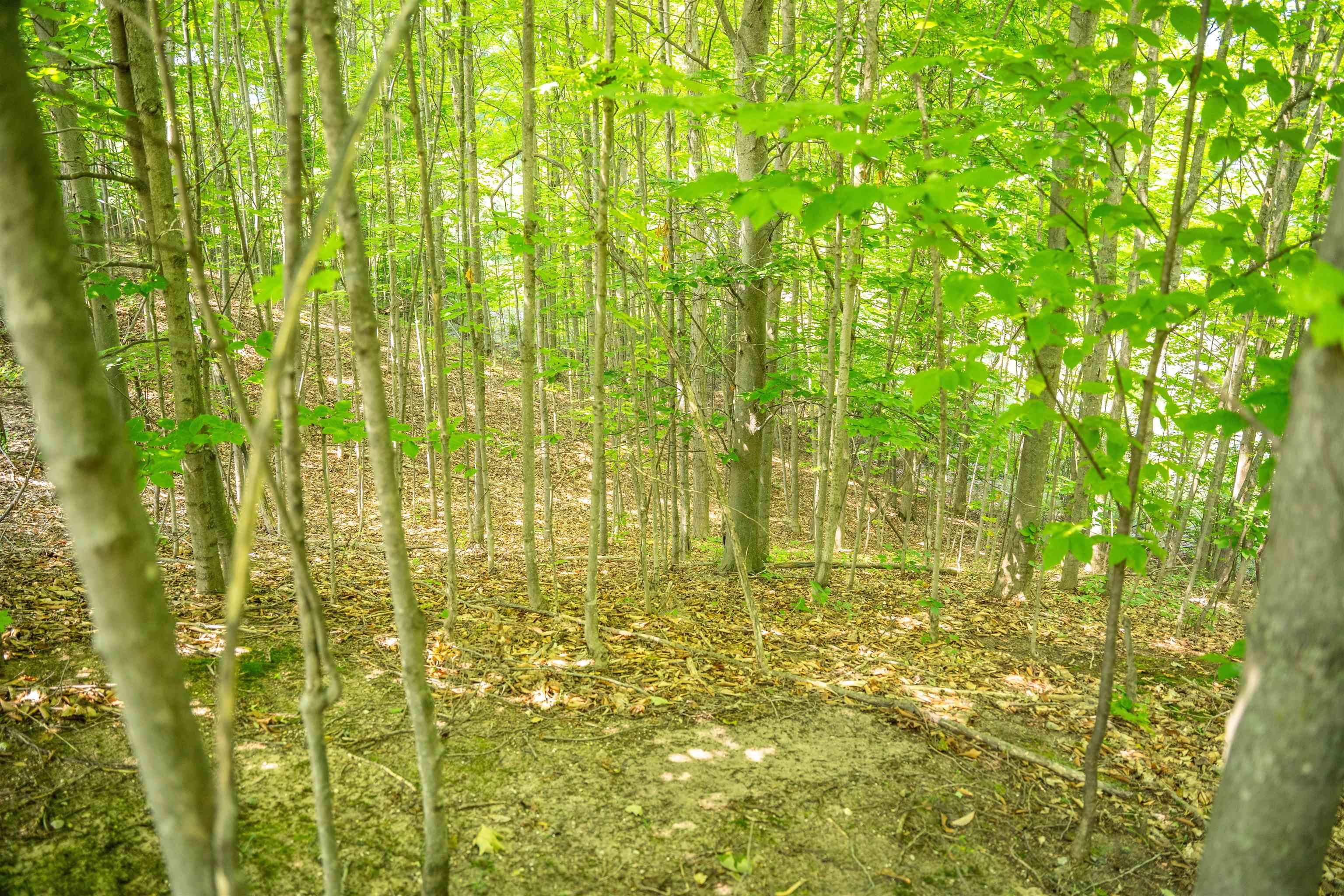 4885 Grayhawk Boulevard, Traverse City, MI, 49684