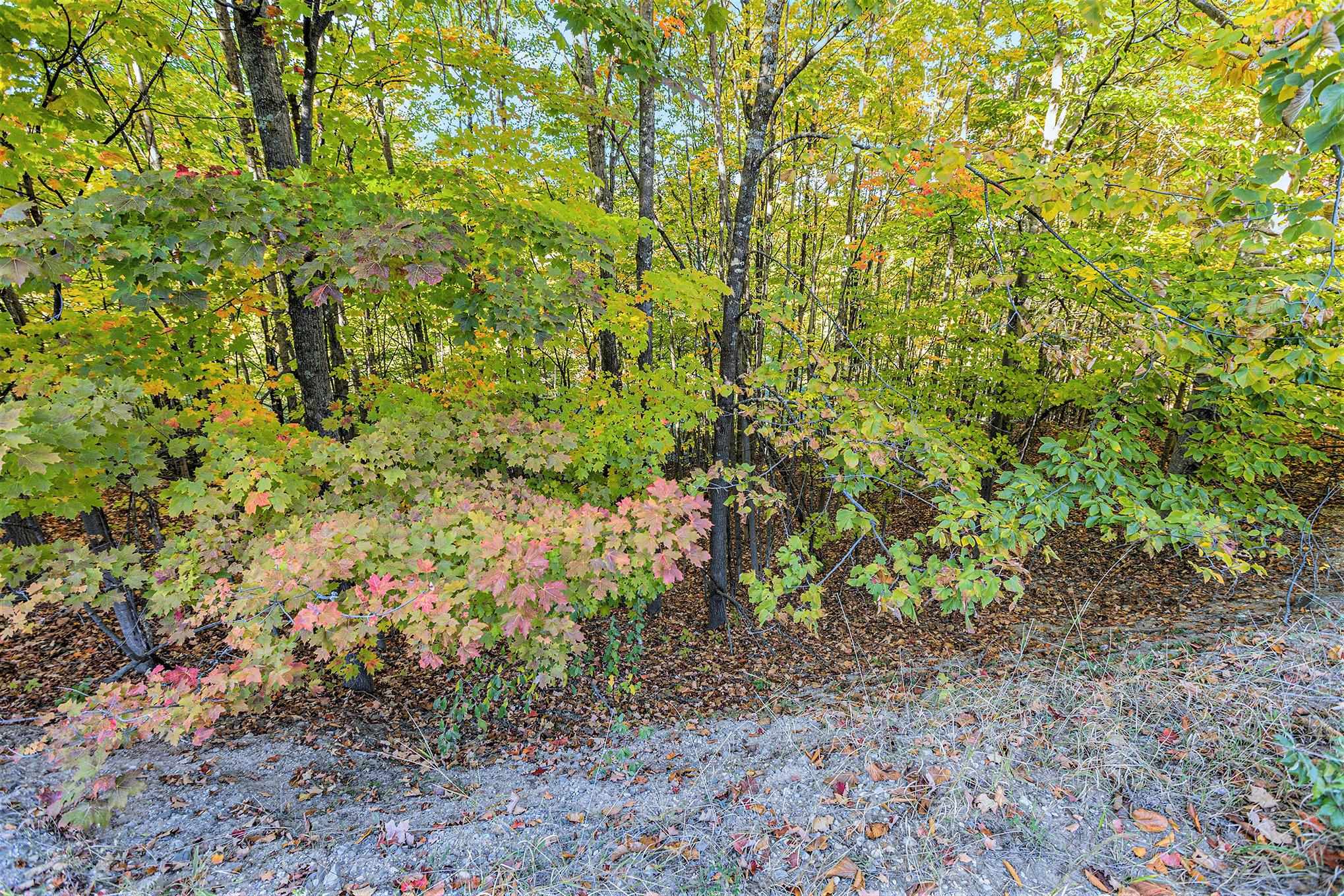 4885 Grayhawk Boulevard, Traverse City, MI, 49684