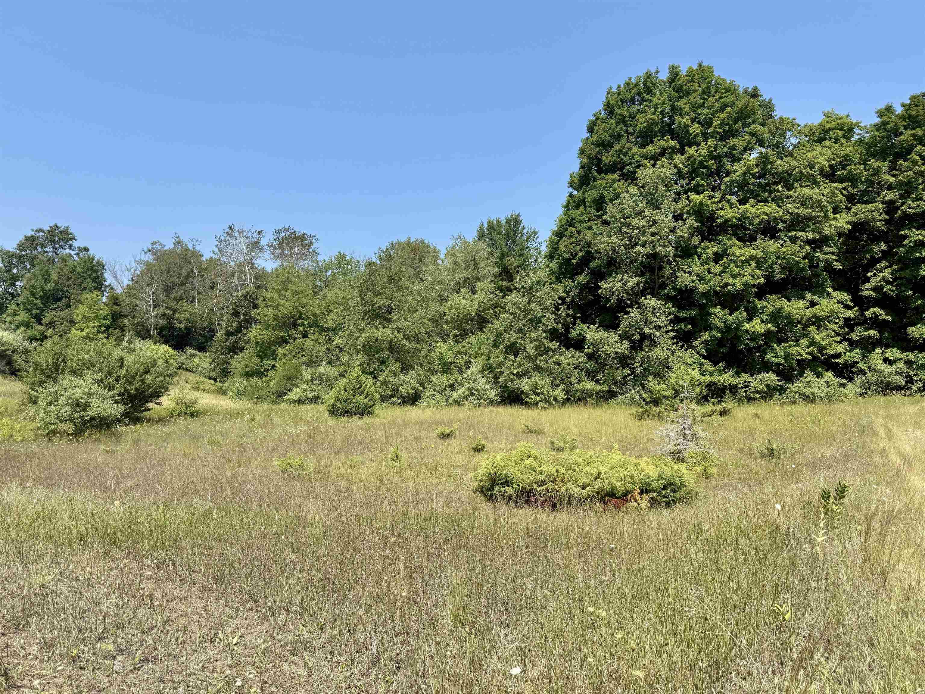 Homes for sale in Alden, MI | 00 Alden Meadows Dr, Alden, MI 49612 | MLS# 80065356