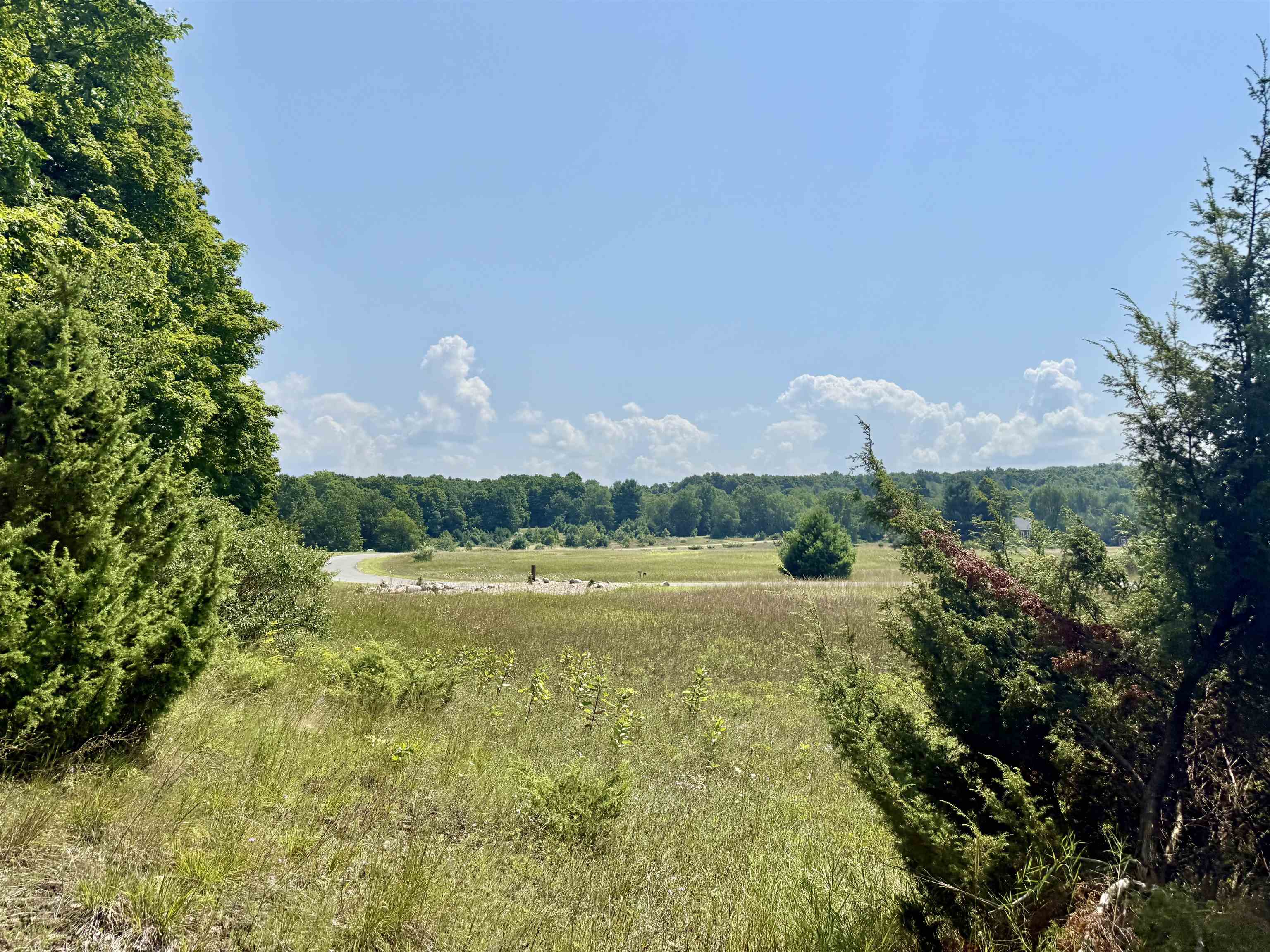 Homes for sale in Alden, MI | 00 Alden Meadows Dr, Alden, MI 49612 | MLS# 80065356