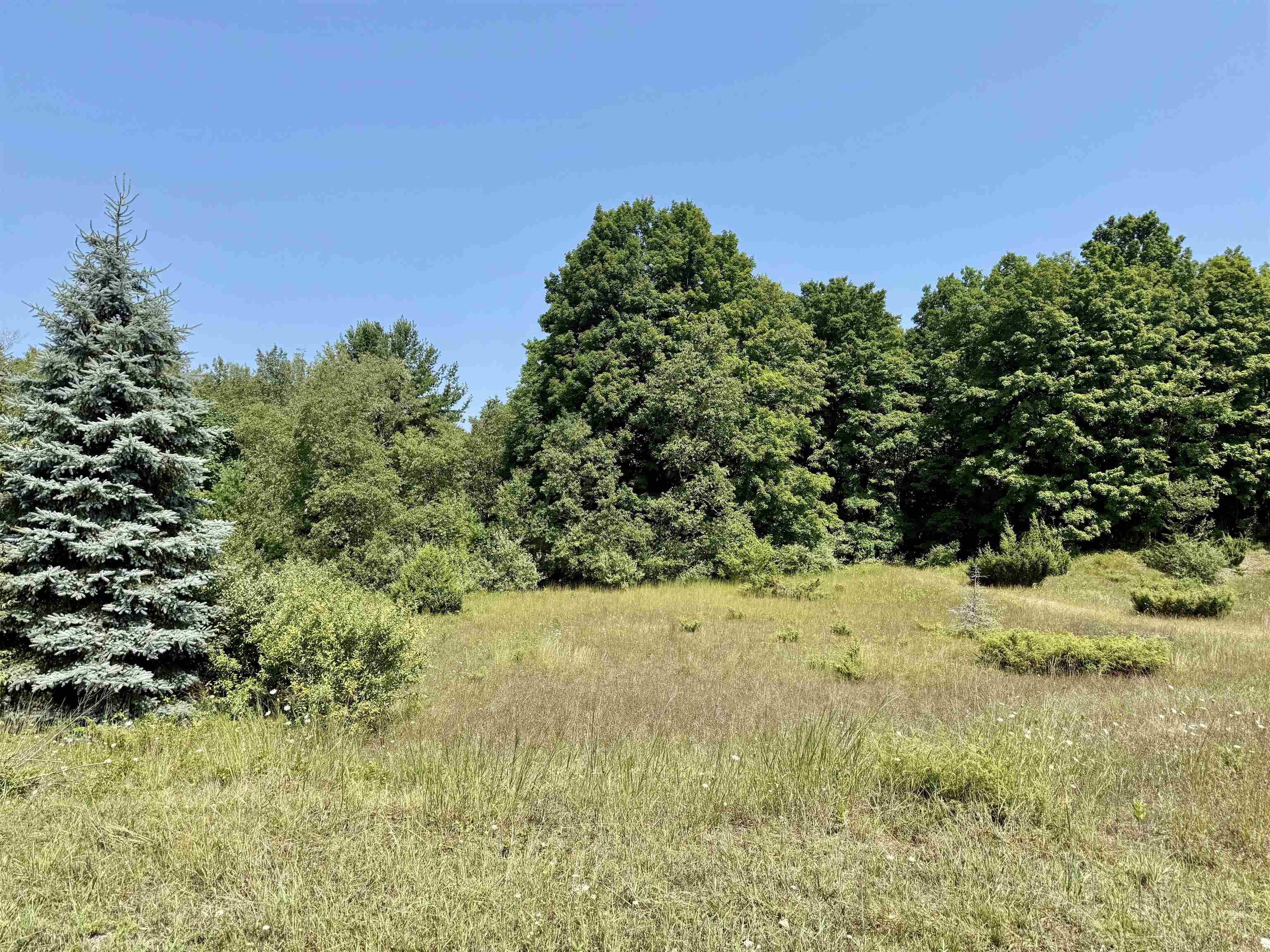 00 Alden Meadows Drive Lot: 5 photo 3