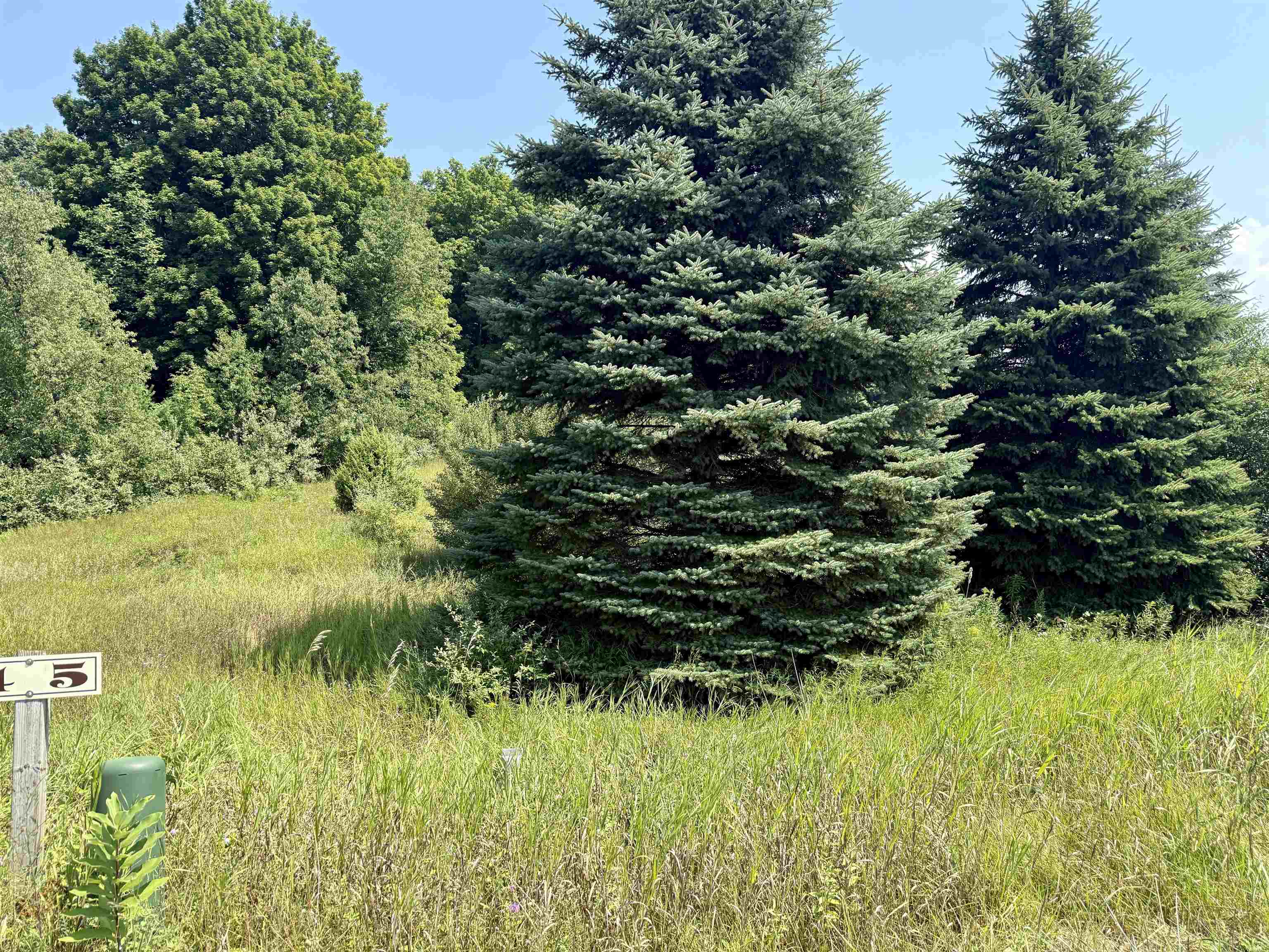 00 Alden Meadows Drive Lot: 5 photo 4