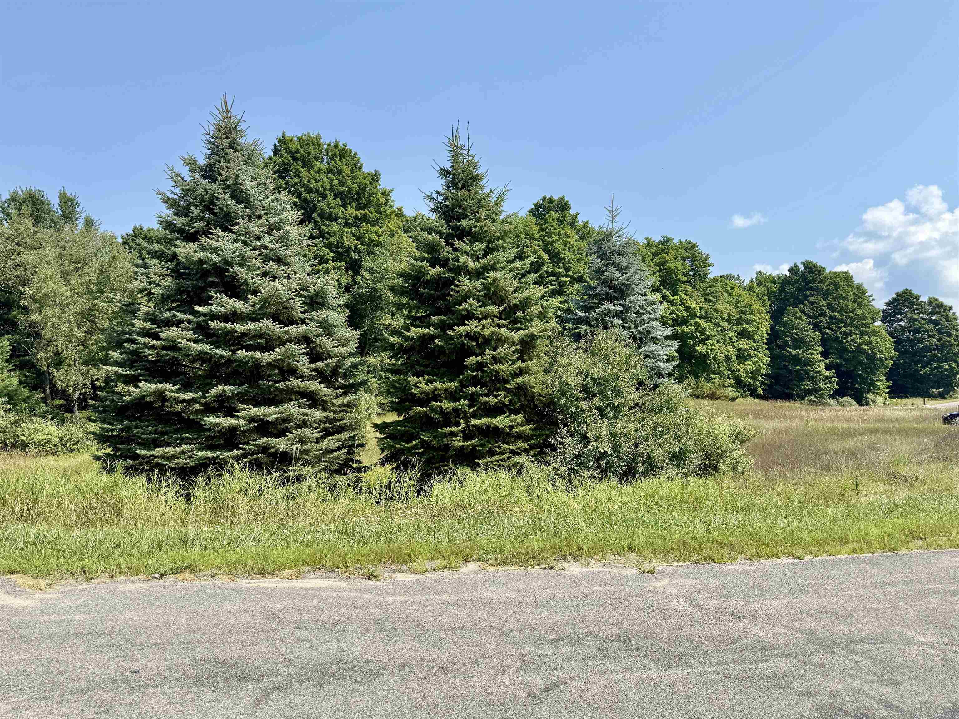 00 Alden Meadows Drive Lot: 5 photo 5