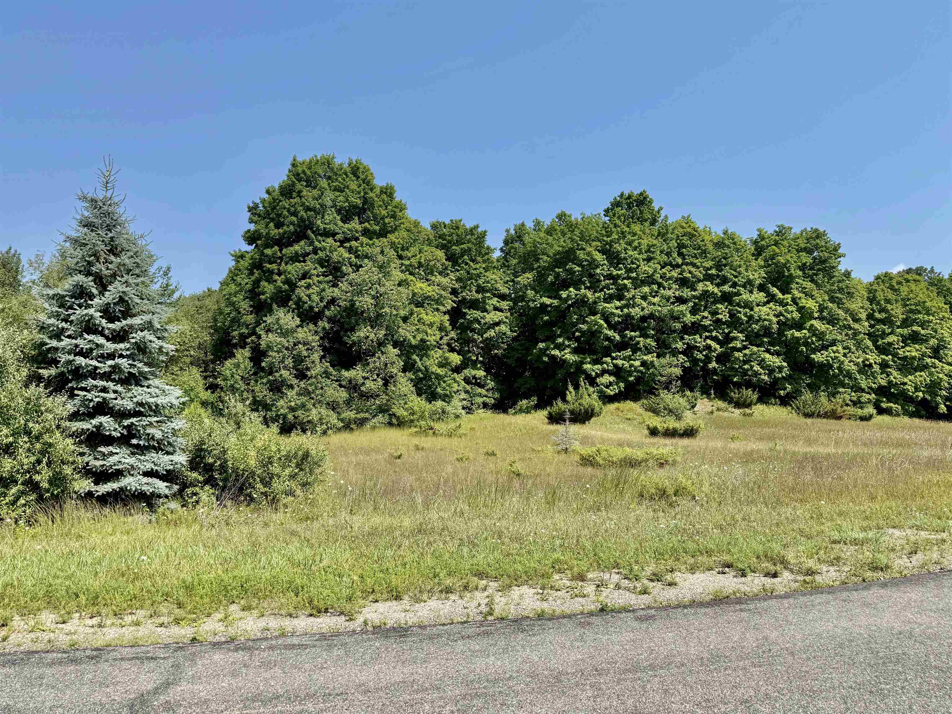 00 Alden Meadows Drive Lot: 5 photo 6