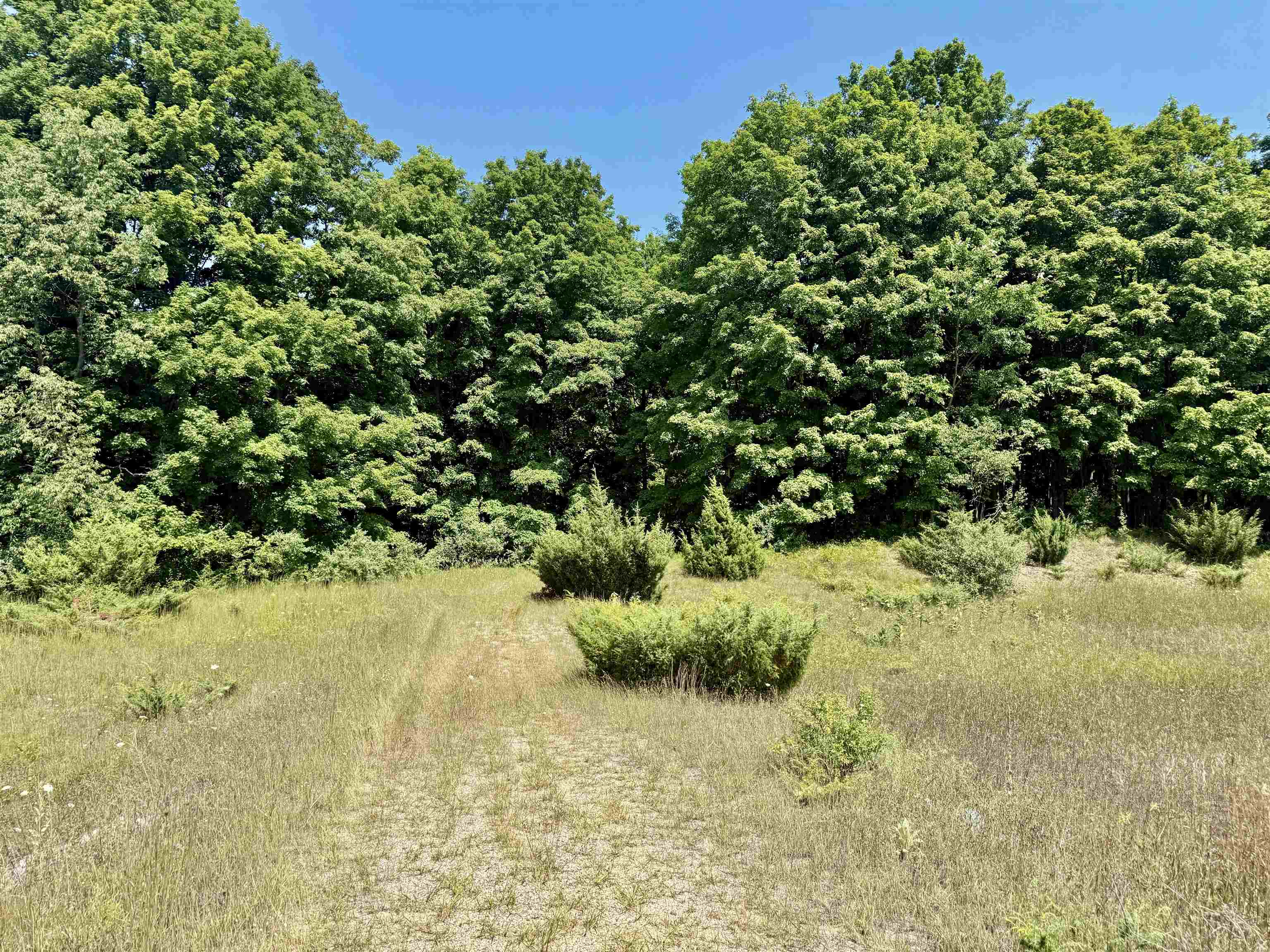 00 Alden Meadows Drive Lot: 5 photo 7