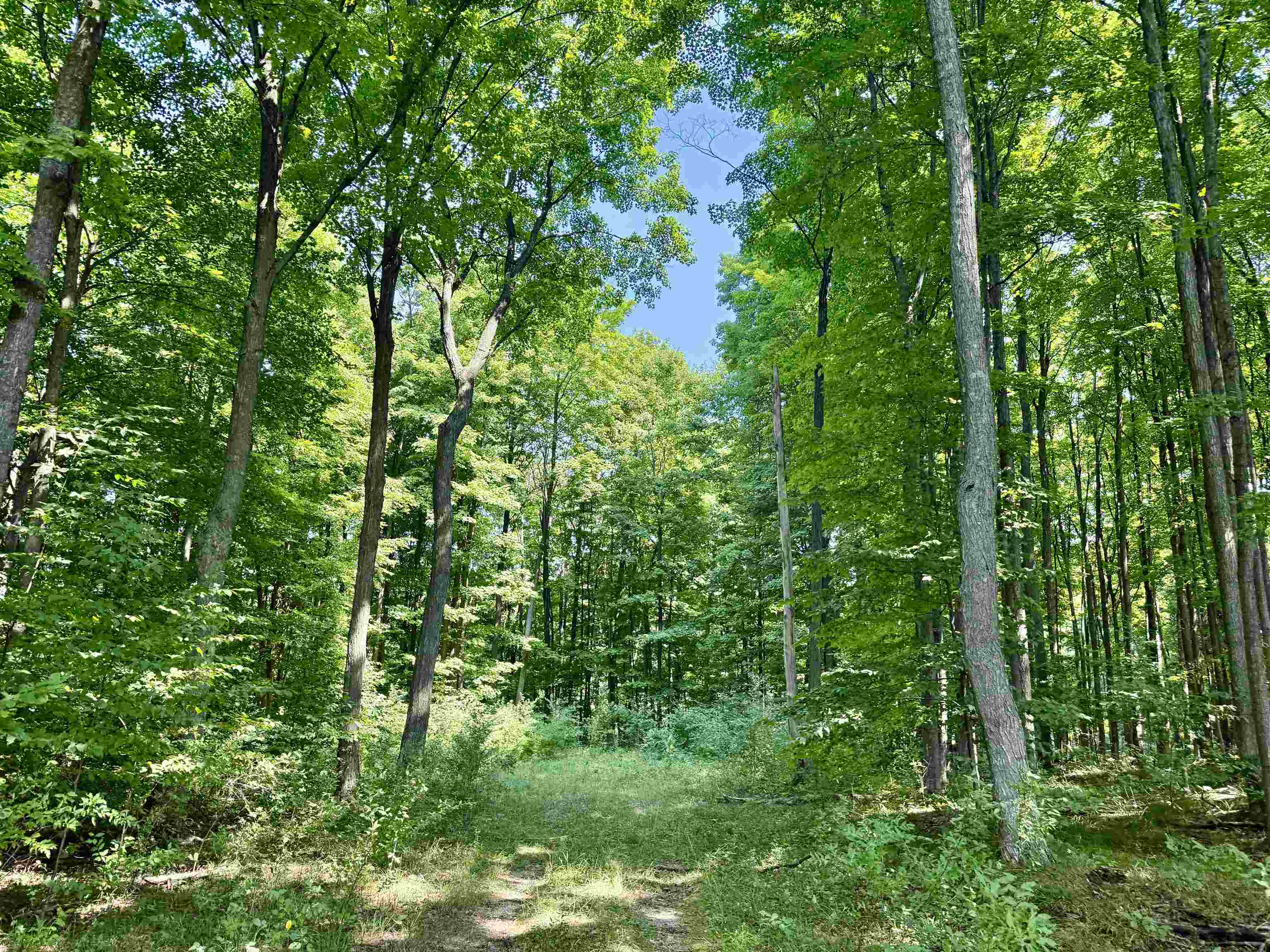 00 Alden Meadows Drive Lot: 5 photo 9