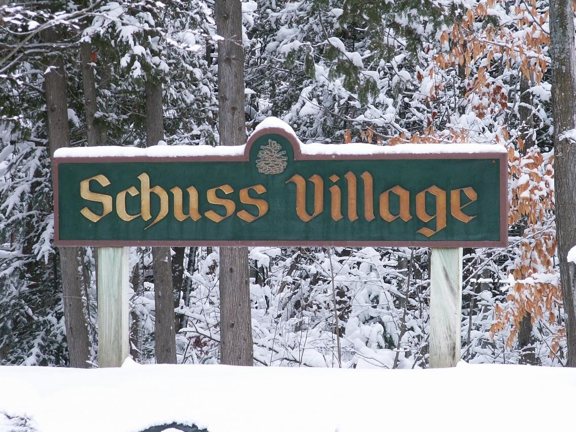 6520 Schuss Mountain Lane UNIT&nbsp;209, Mancelona, MI, 49659