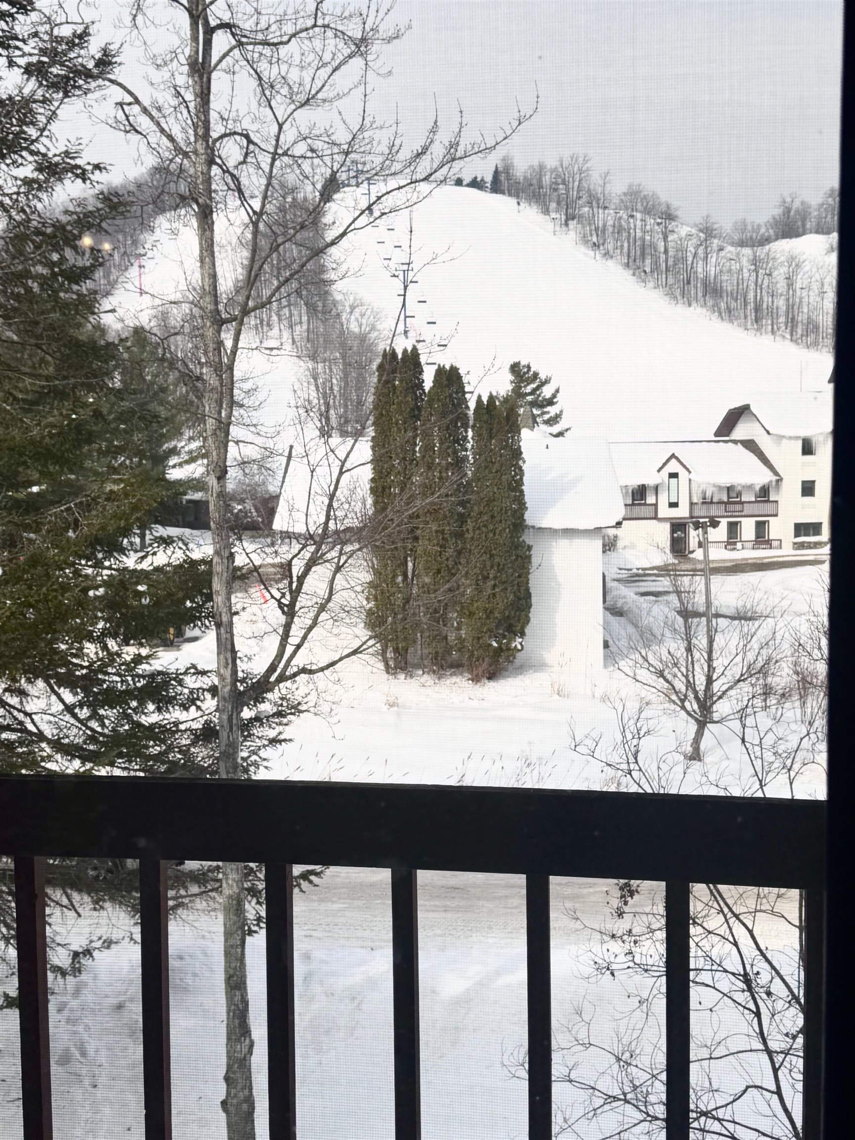 6520 Schuss Mountain Lane UNIT&nbsp;209, Mancelona, MI, 49659