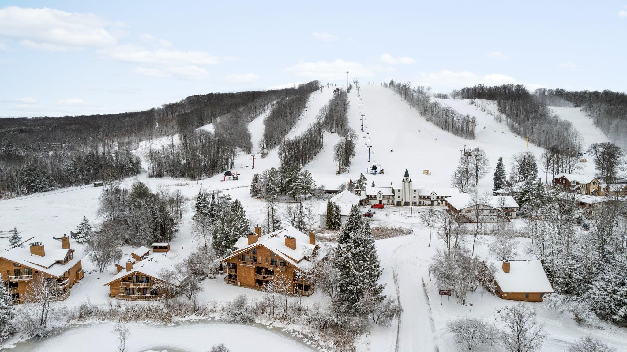 6520 Schuss Mountain Lane UNIT&nbsp;209, Mancelona, MI, 49659