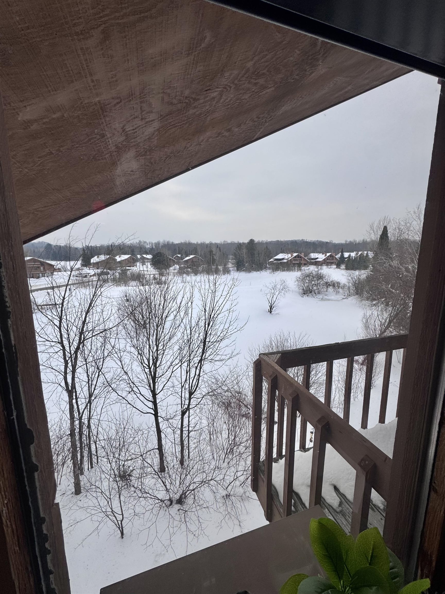 6520 Schuss Mountain Lane UNIT&nbsp;209, Mancelona, MI, 49659