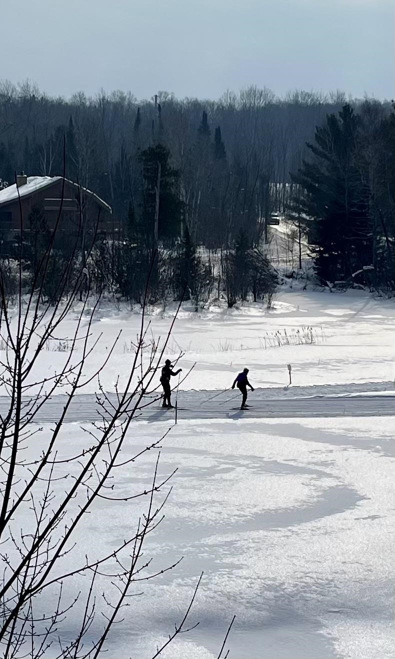 6520 Schuss Mountain Lane UNIT&nbsp;209, Mancelona, MI, 49659