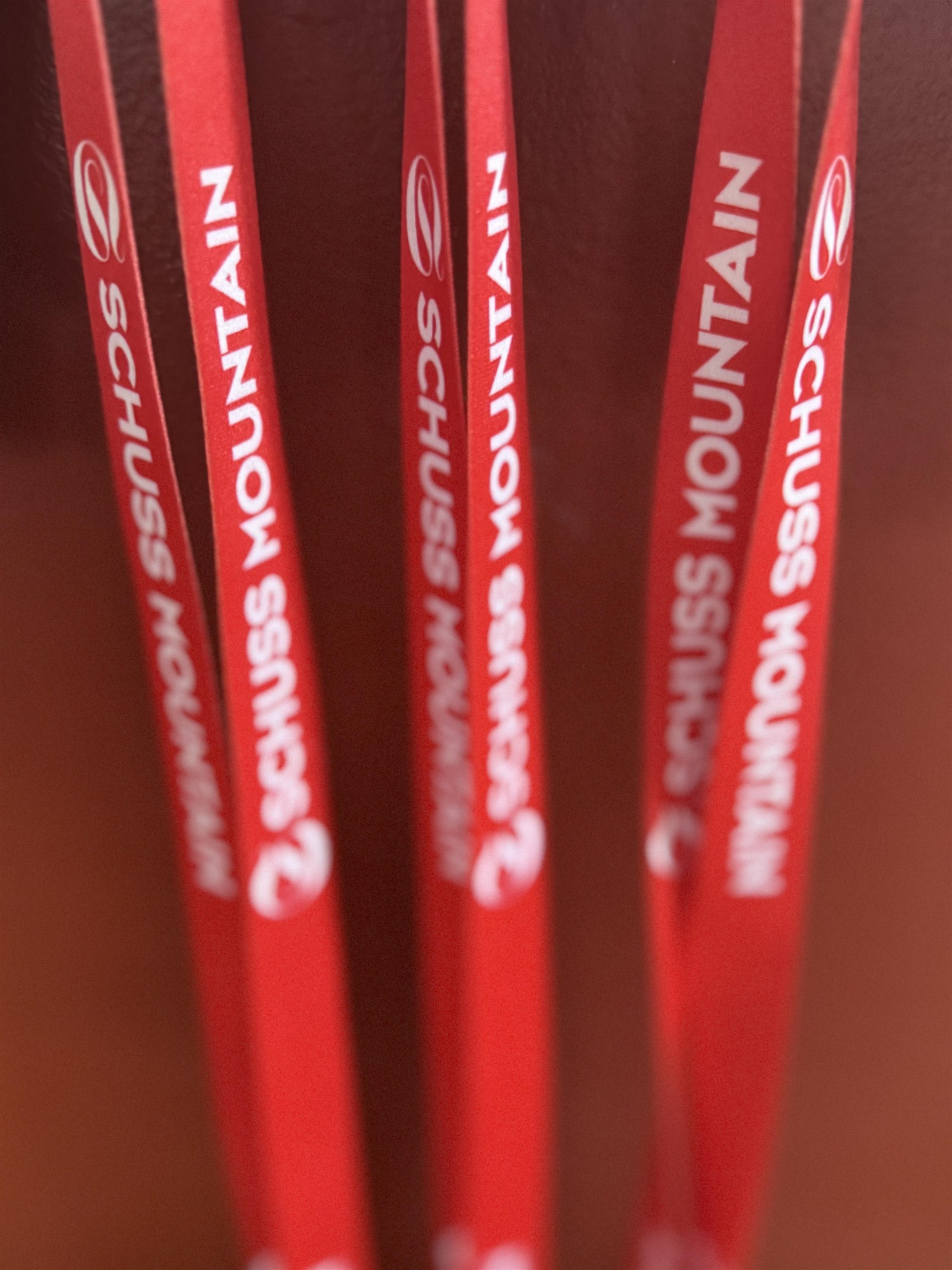 6520 Schuss Mountain Lane UNIT&nbsp;209, Mancelona, MI, 49659