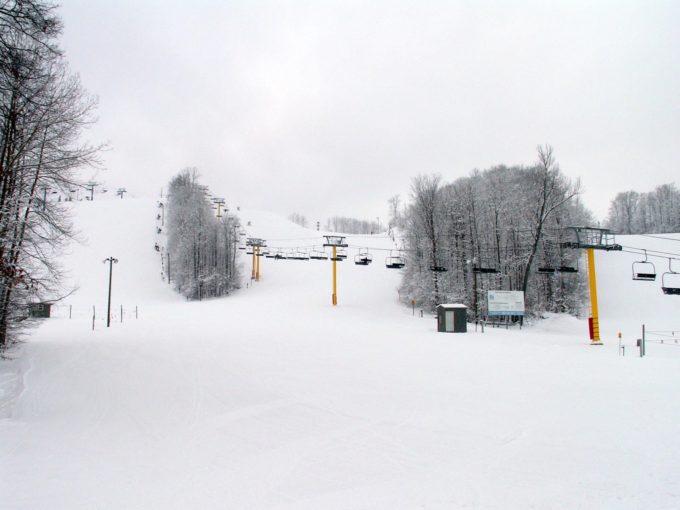 6520 Schuss Mountain Lane UNIT&nbsp;209, Mancelona, MI, 49659