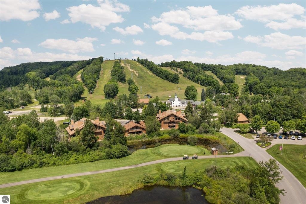 6520 Schuss Mountain Lane UNIT&nbsp;209, Mancelona, MI, 49659