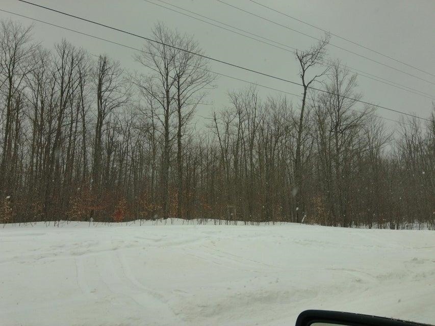 Homes for sale in Gaylord, MI | Parcel L Turtle Mill Trl, Gaylord, MI 49735 | MLS# 80065423