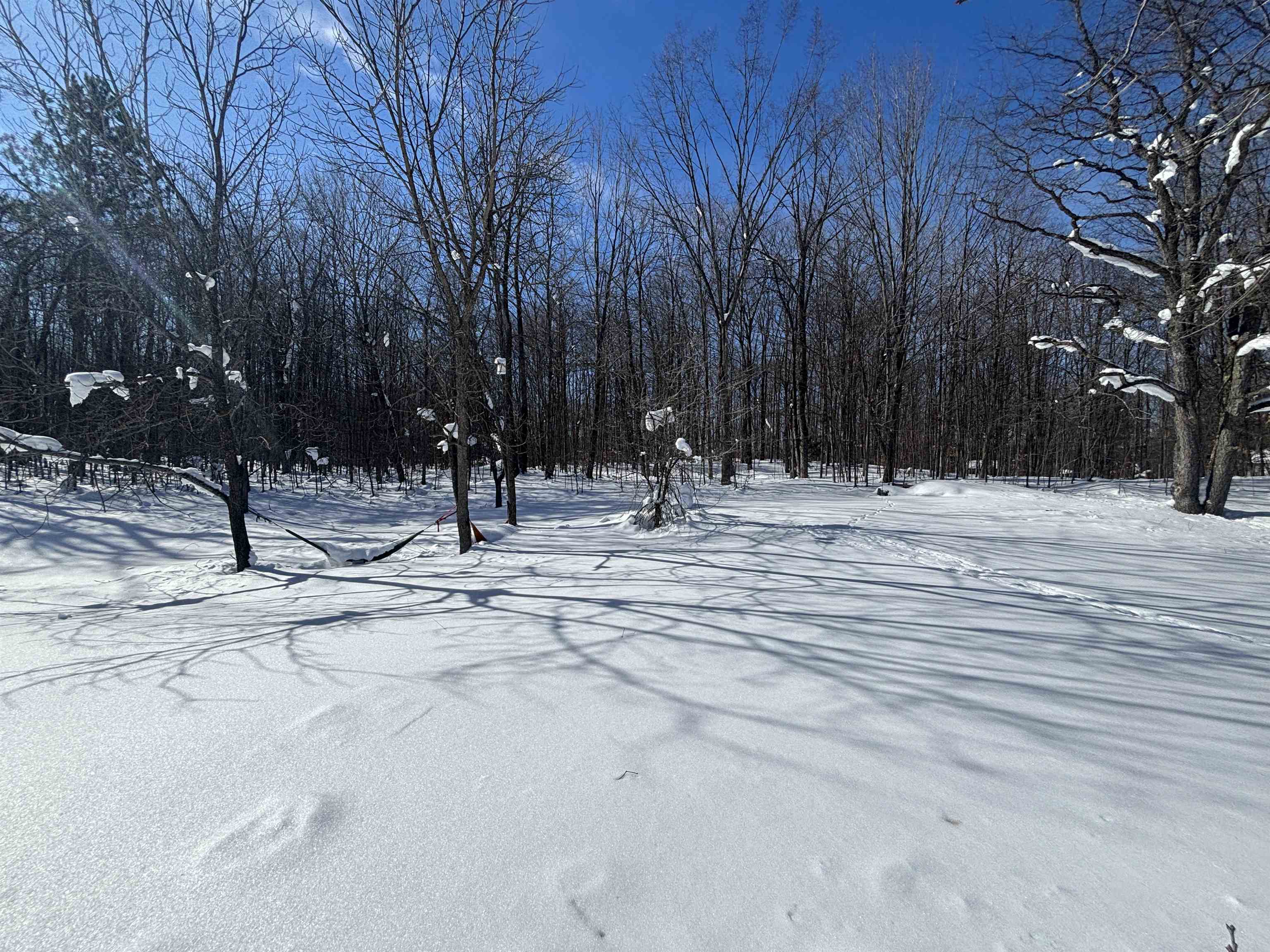5884 Scholl Road photo 11