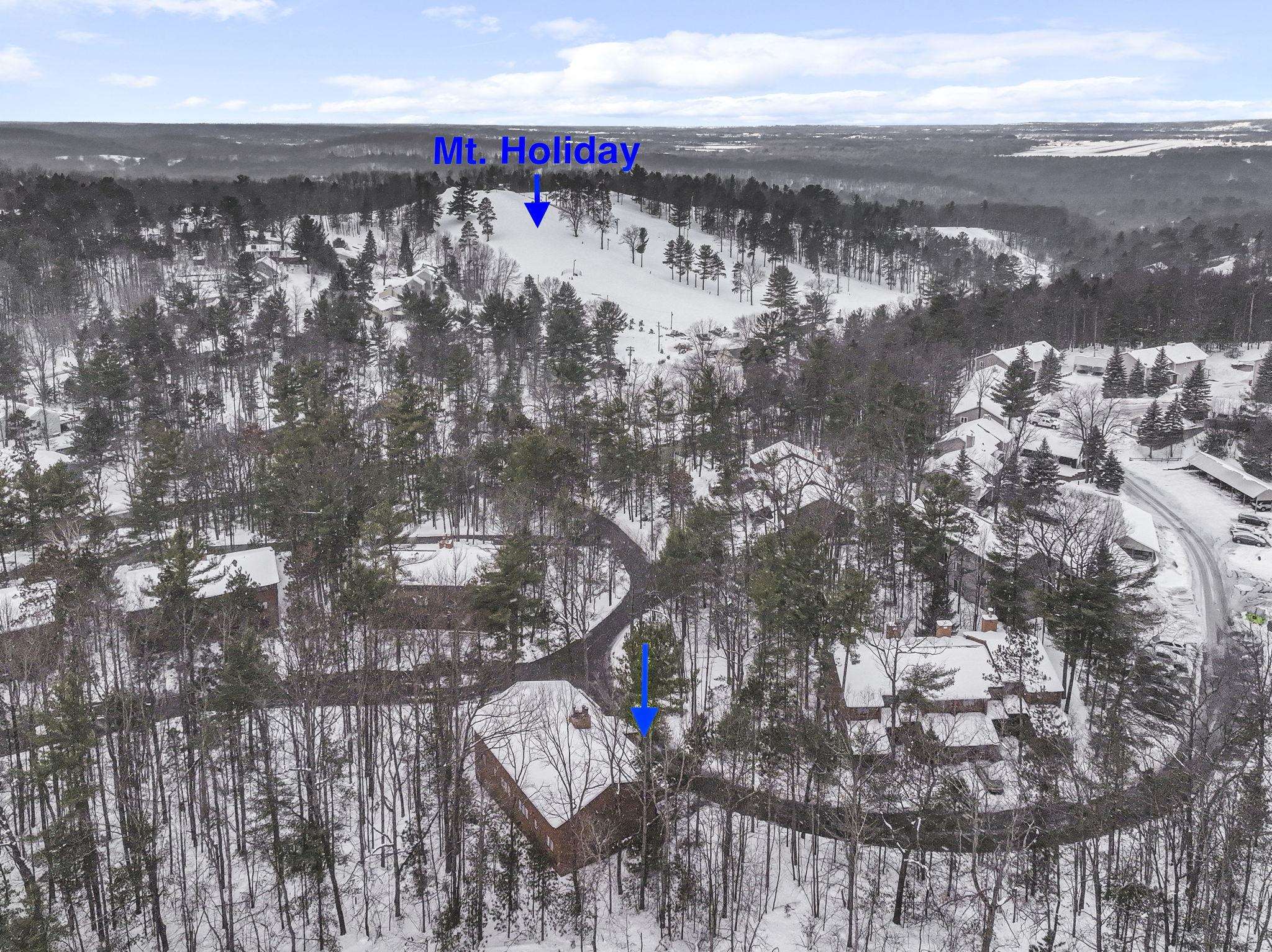  UNIT 19, Traverse City, MI, 49686