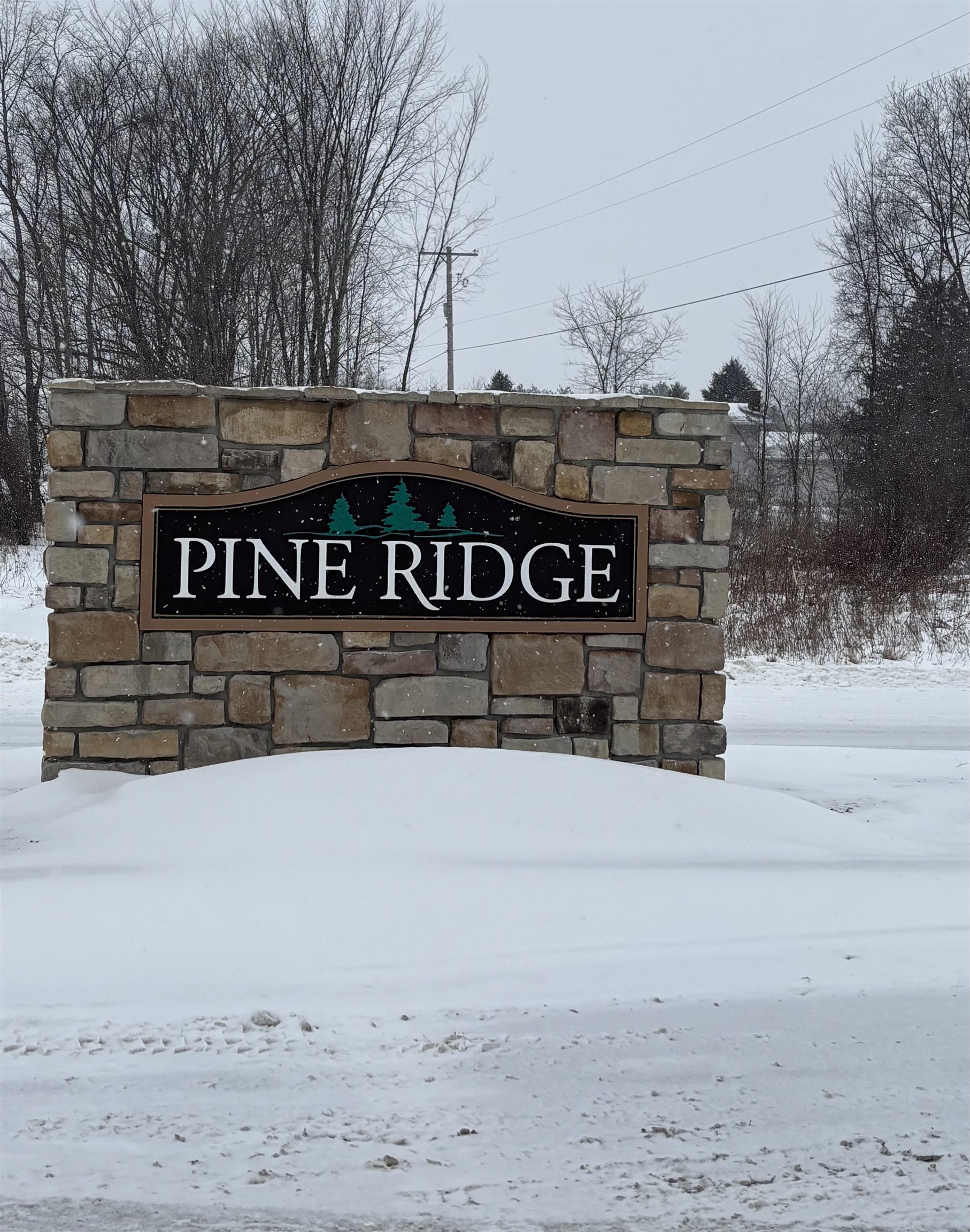 Photo of property for sale at 000 Pine Ridge Drive, Mount Pleasant MI 48858