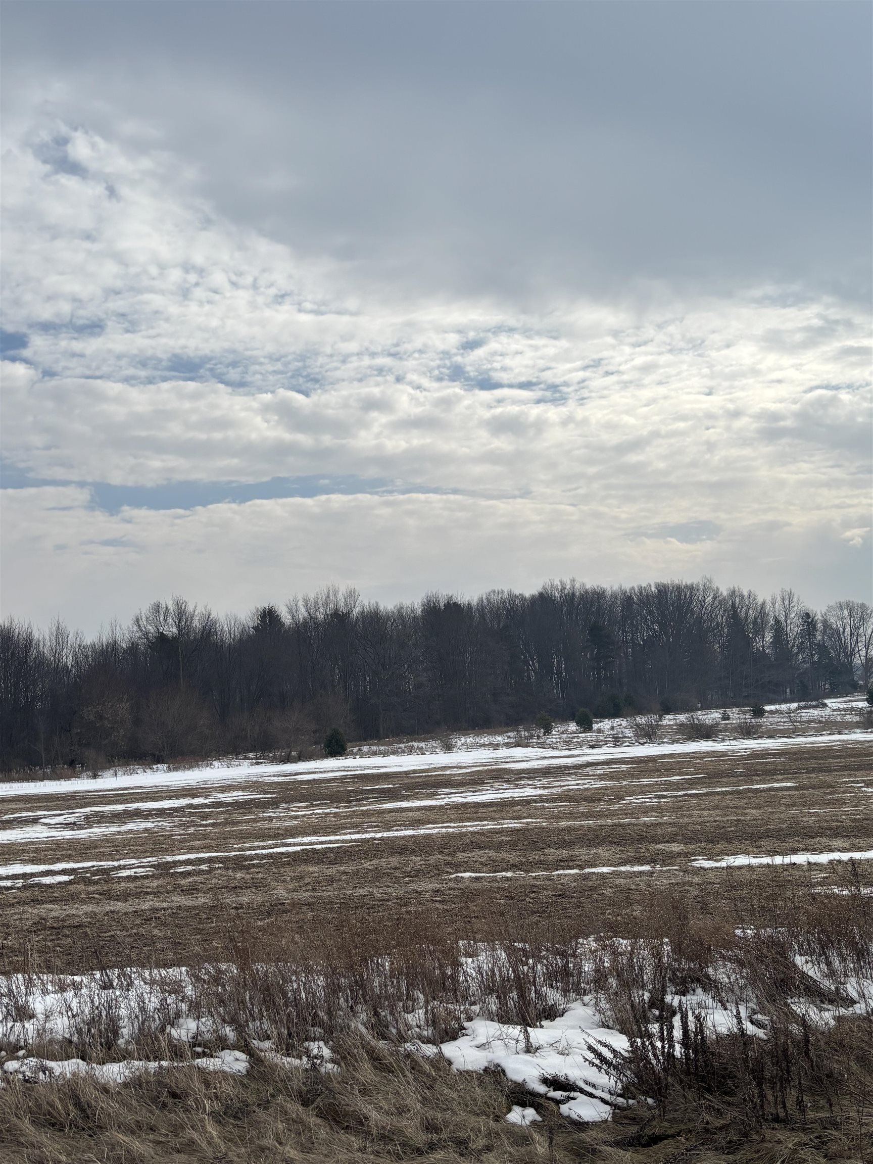 000 Pine Ridge Drive Lot: 28 photo 5