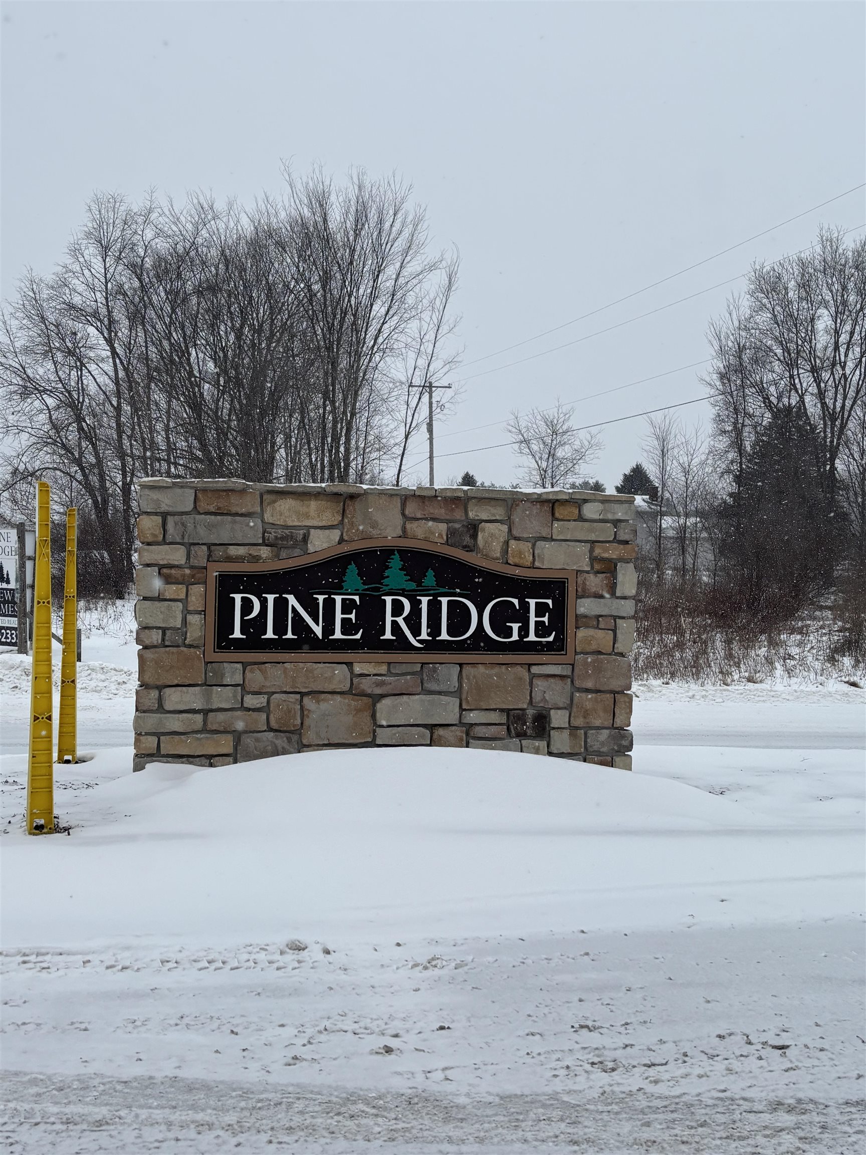 000 Pine Ridge Drive Lot: 29 photo 2