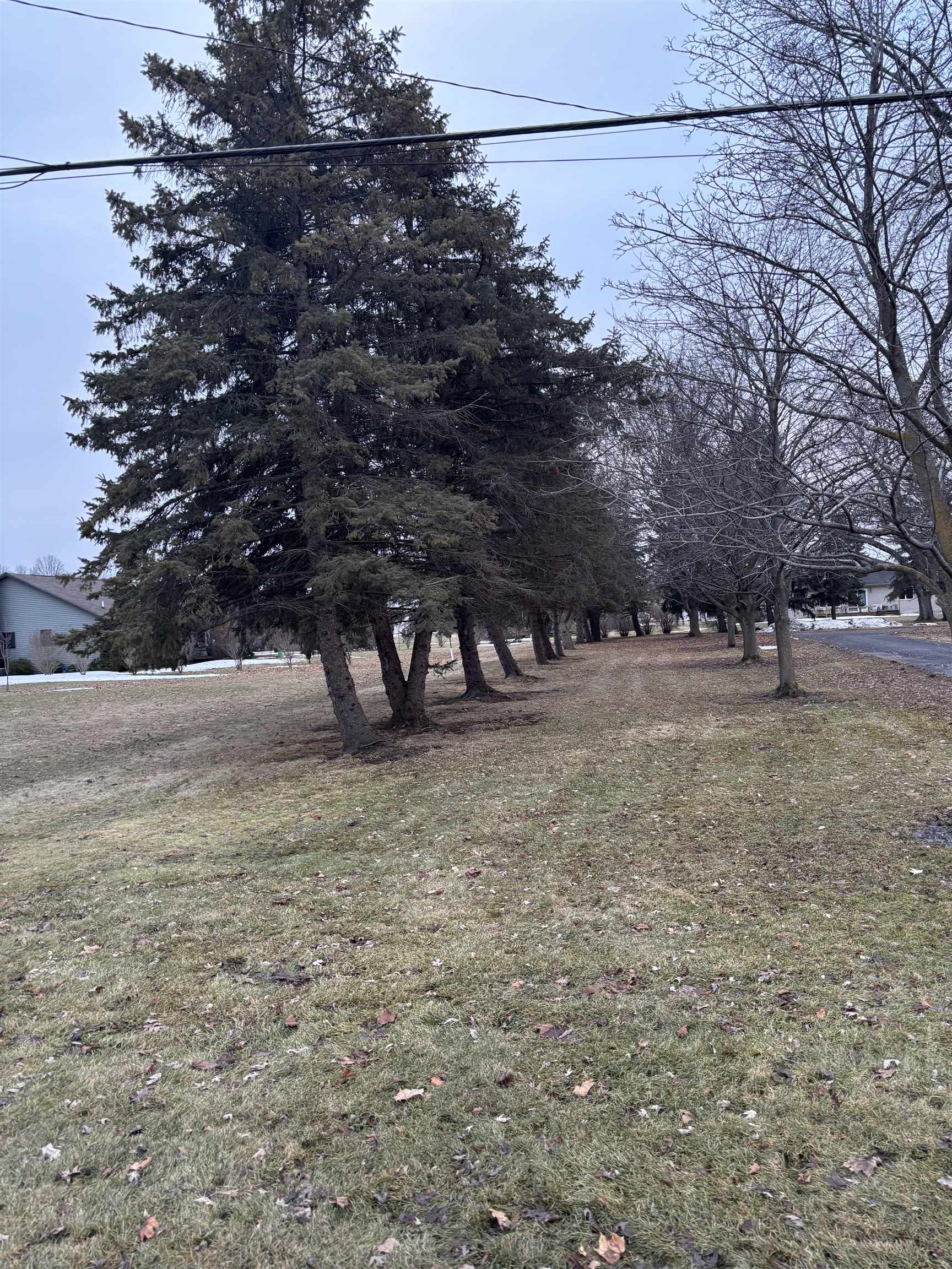 2135 E Pickard Road photo 5