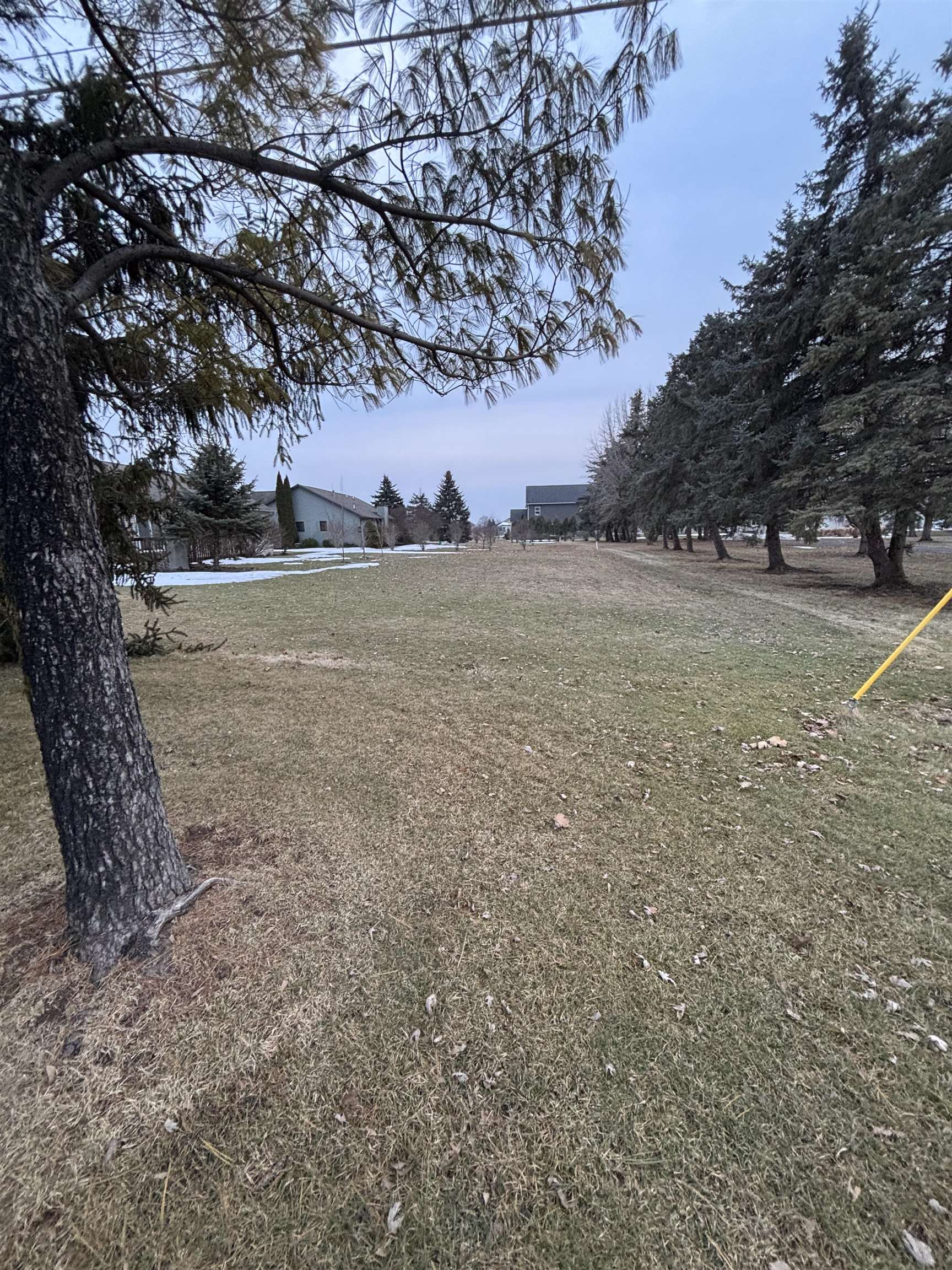 2135 E Pickard Road photo 6