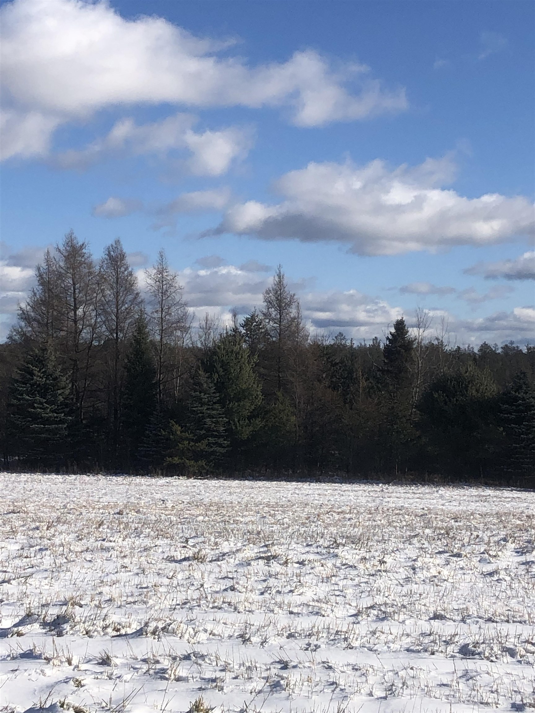 Listing Image at 00 M-72, Kalkaska MI 49646