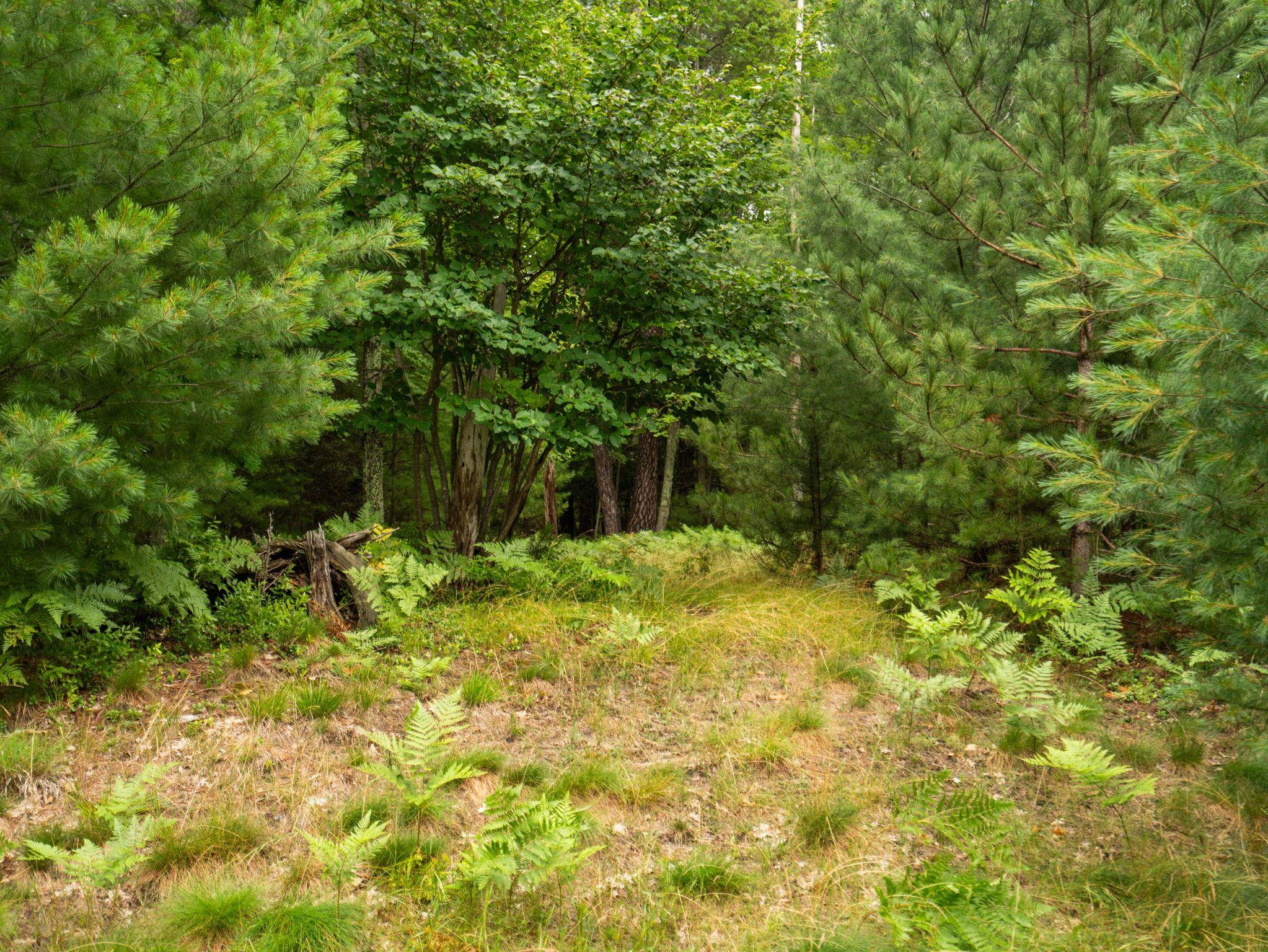 2nd image of 00 Business Park Dr, Traverse City, MI 49686 | MLS# 80065506