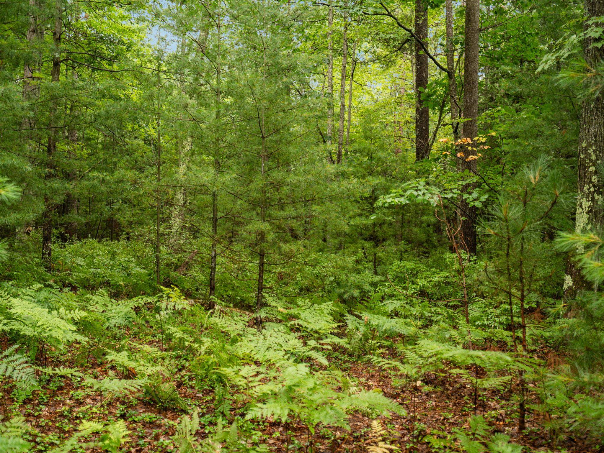 3rd image of 00 Business Park Dr, Traverse City, MI 49686 | MLS# 80065506