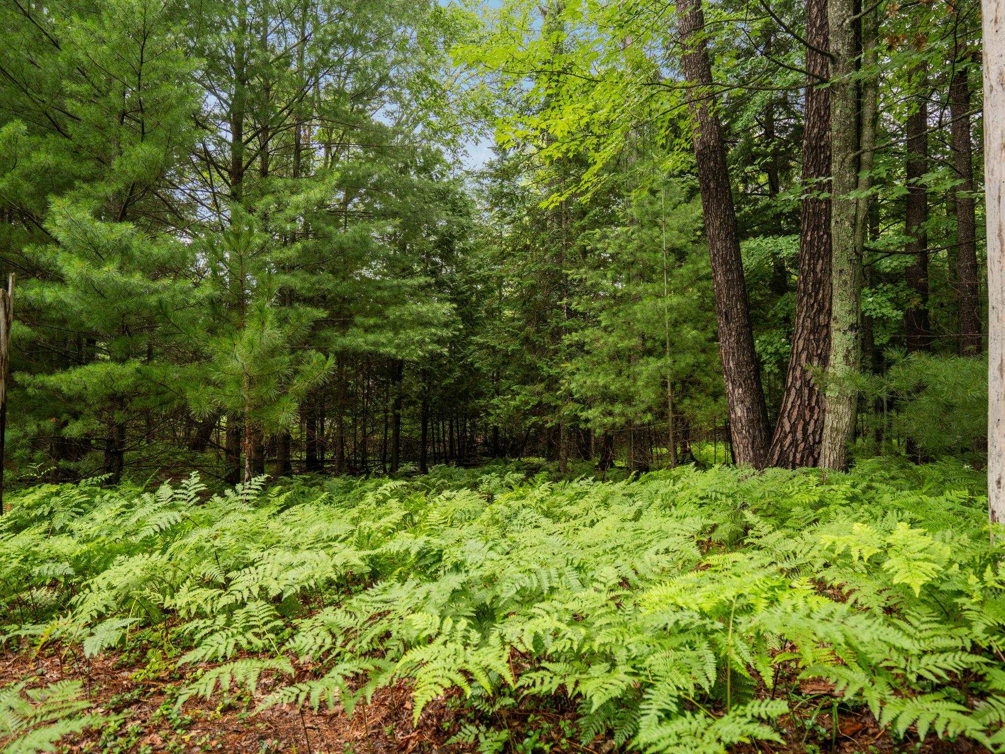 4th image of 00 Business Park Dr, Traverse City, MI 49686 | MLS# 80065506