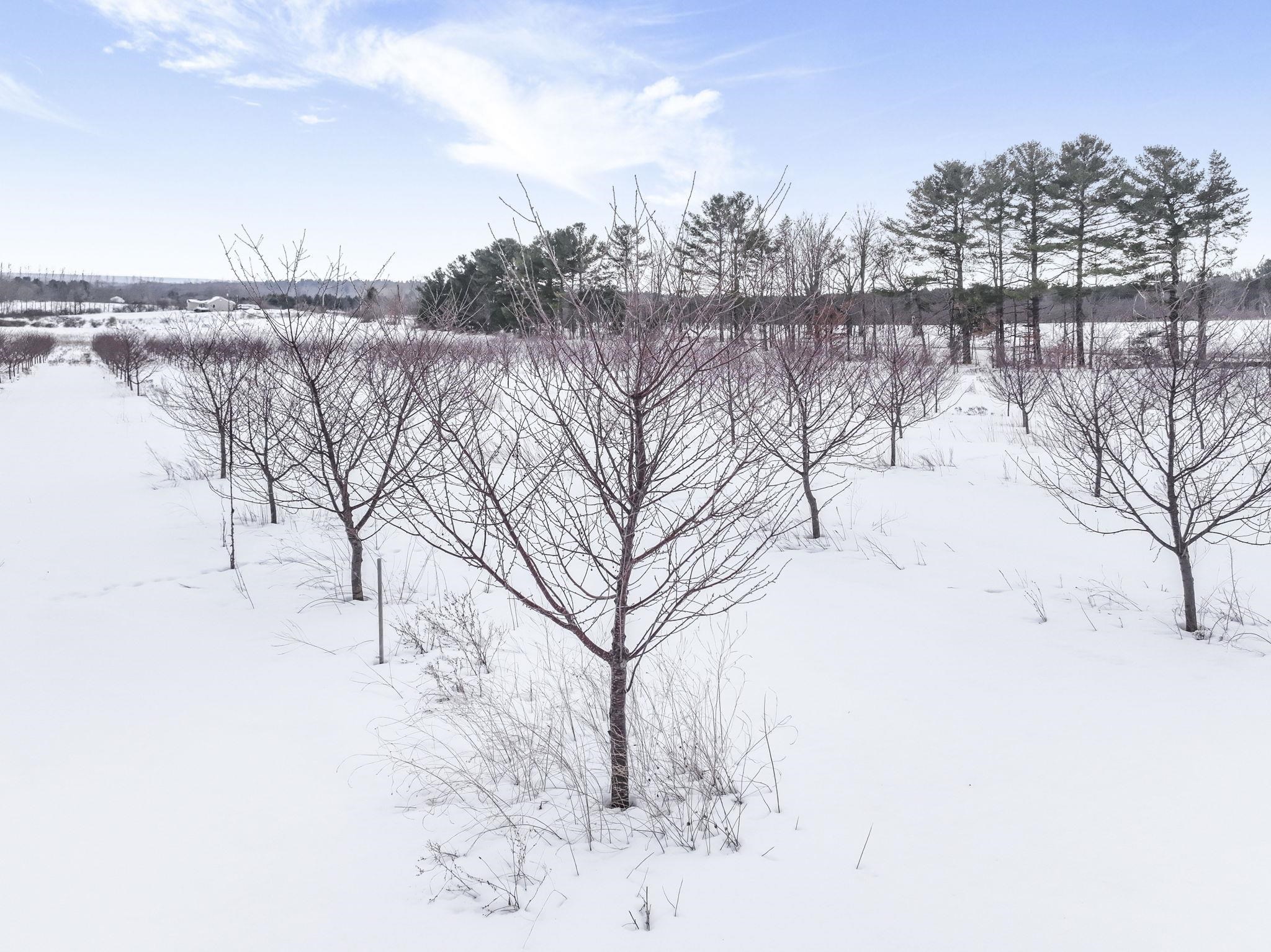 Parcel B Chippewa Trail, Rapid City, MI, 49676